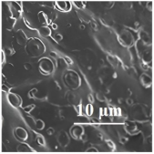 Applsci 13 05148 i001 Applsci 13 05148 i001