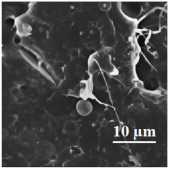 Applsci 13 05148 i003 Applsci 13 05148 i003