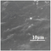 Applsci 13 05148 i004 Applsci 13 05148 i004