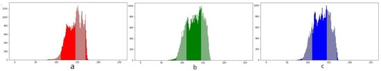 Applied Sciences Free Full Text Deep Learning Methods For Bug Bite Classification An End To