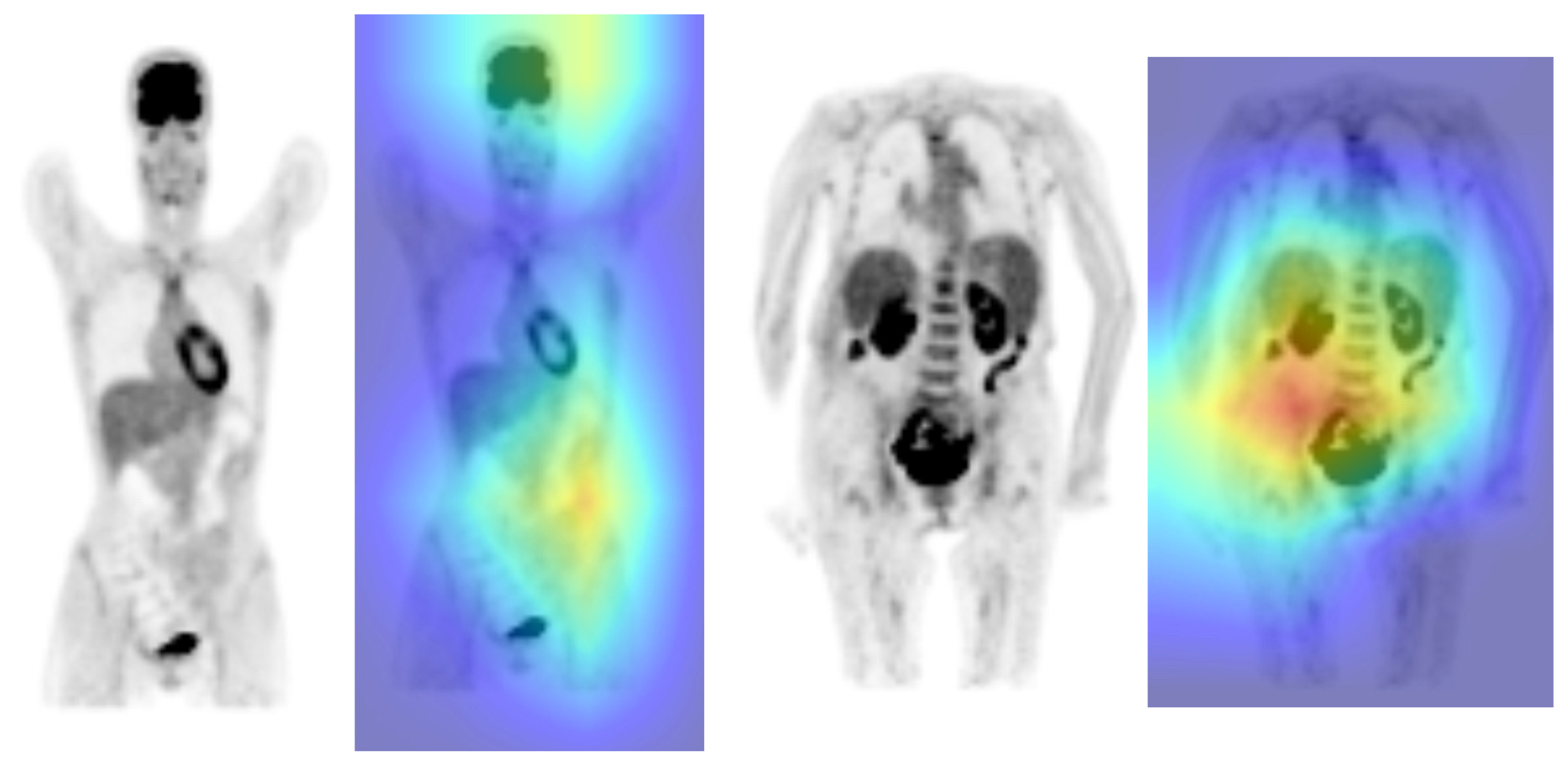 Applsci 13 05281 g005 Applsci 13 05281 g005