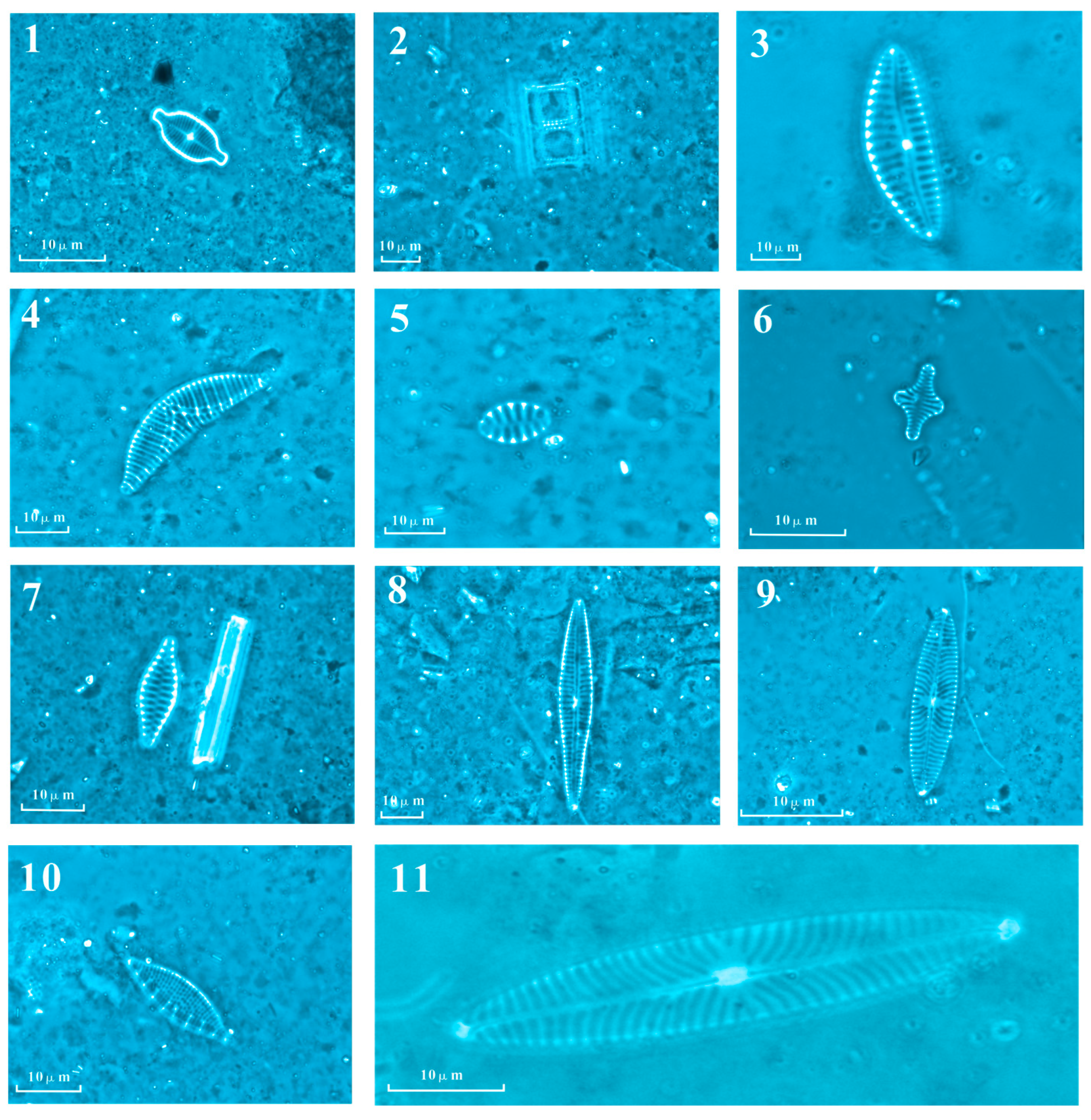 Applsci 13 05288 g003