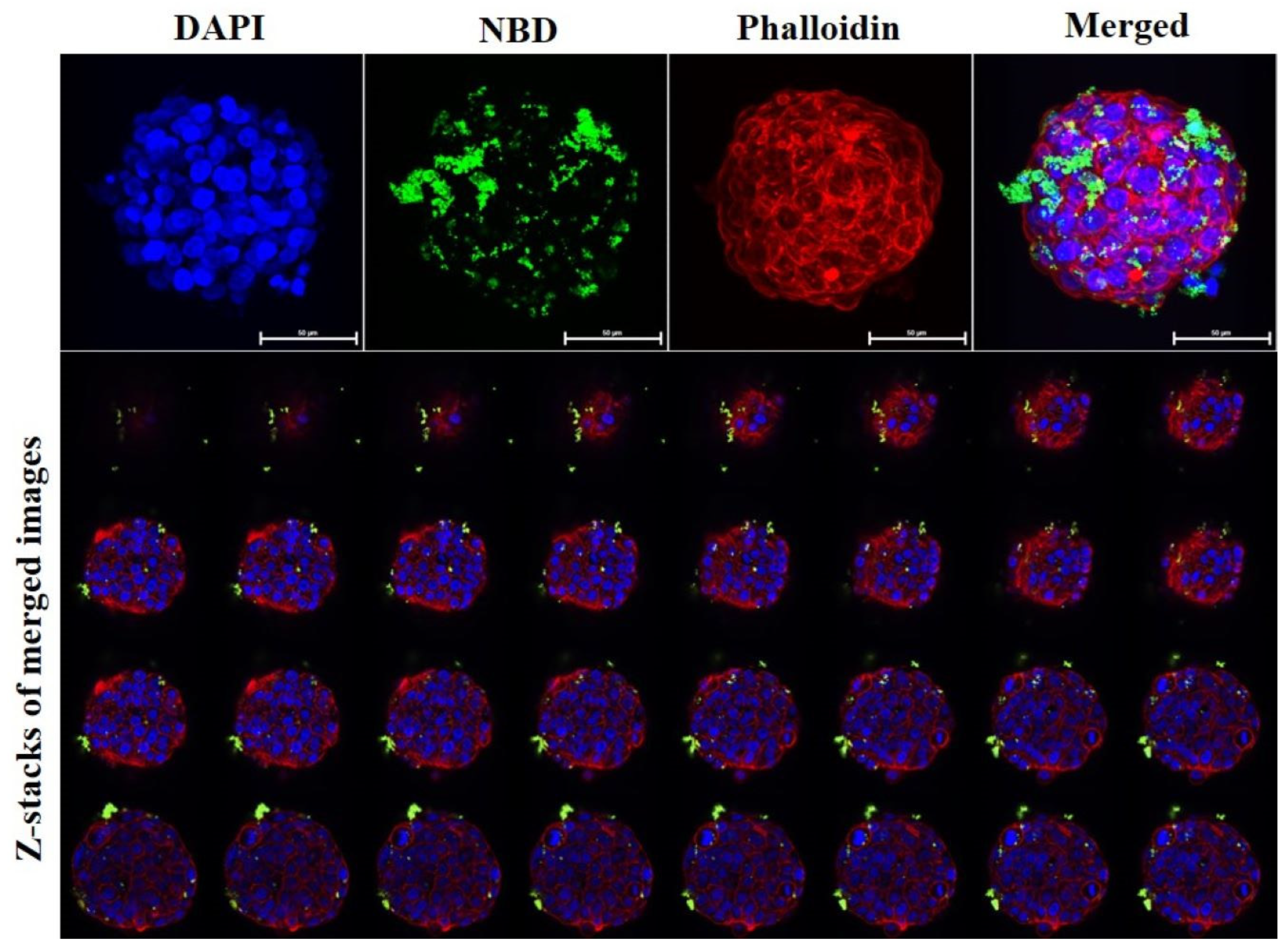 Applsci 13 05330 g002 Applsci 13 05330 g002