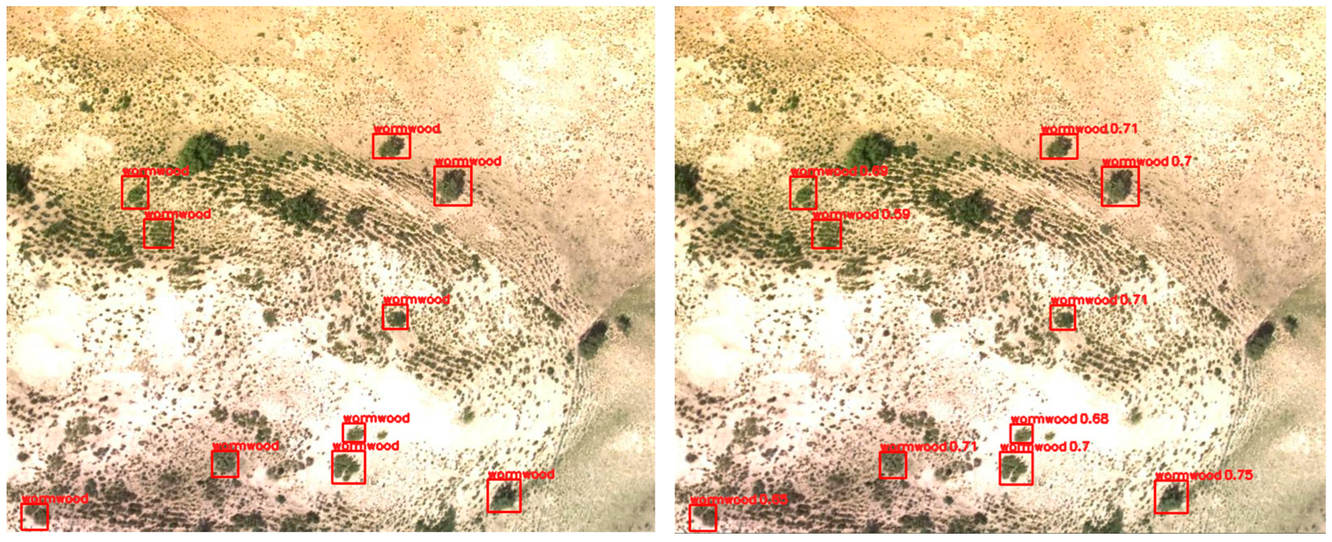 Applsci 13 05409 g020 Applsci 13 05409 g020