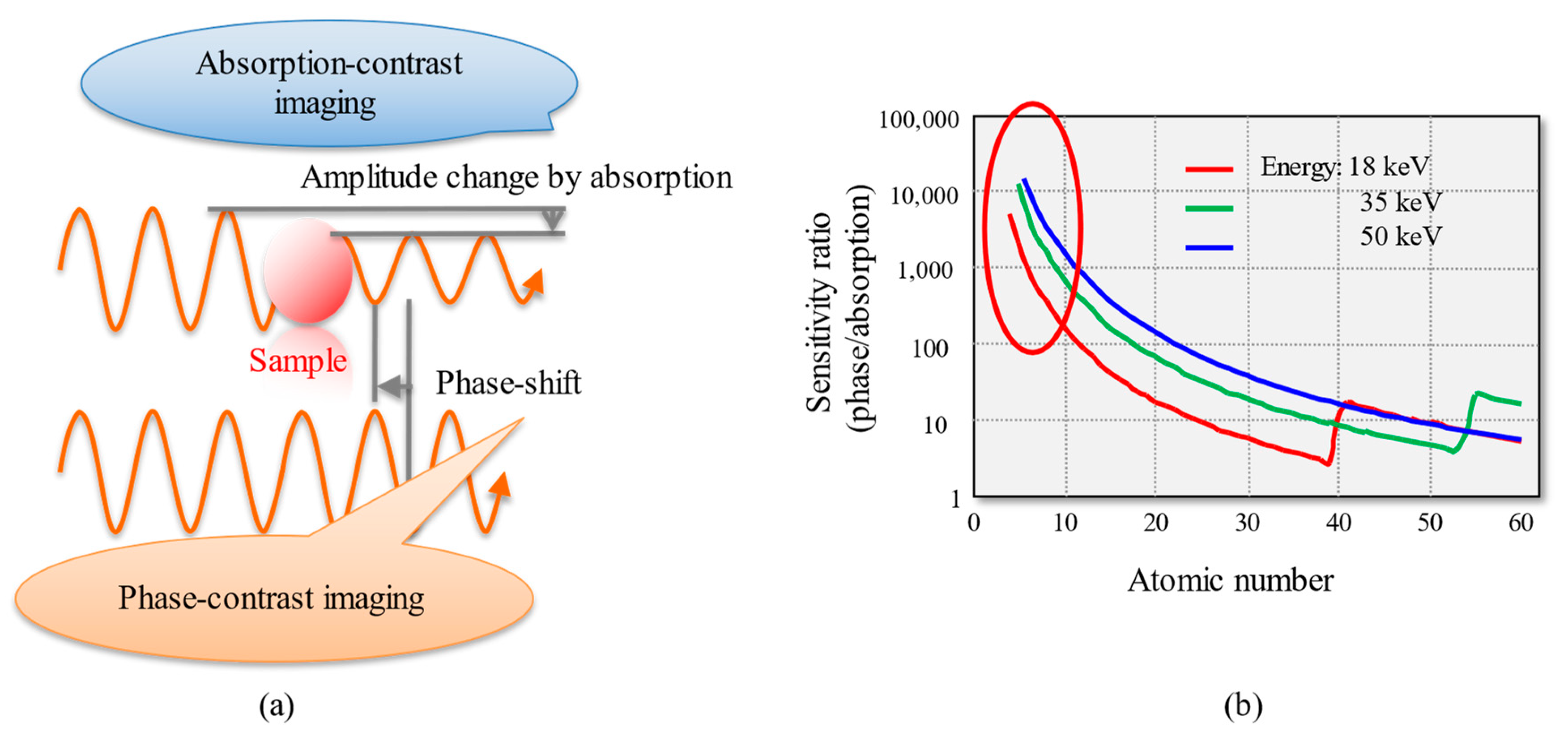 Applsci 13 05424 g001