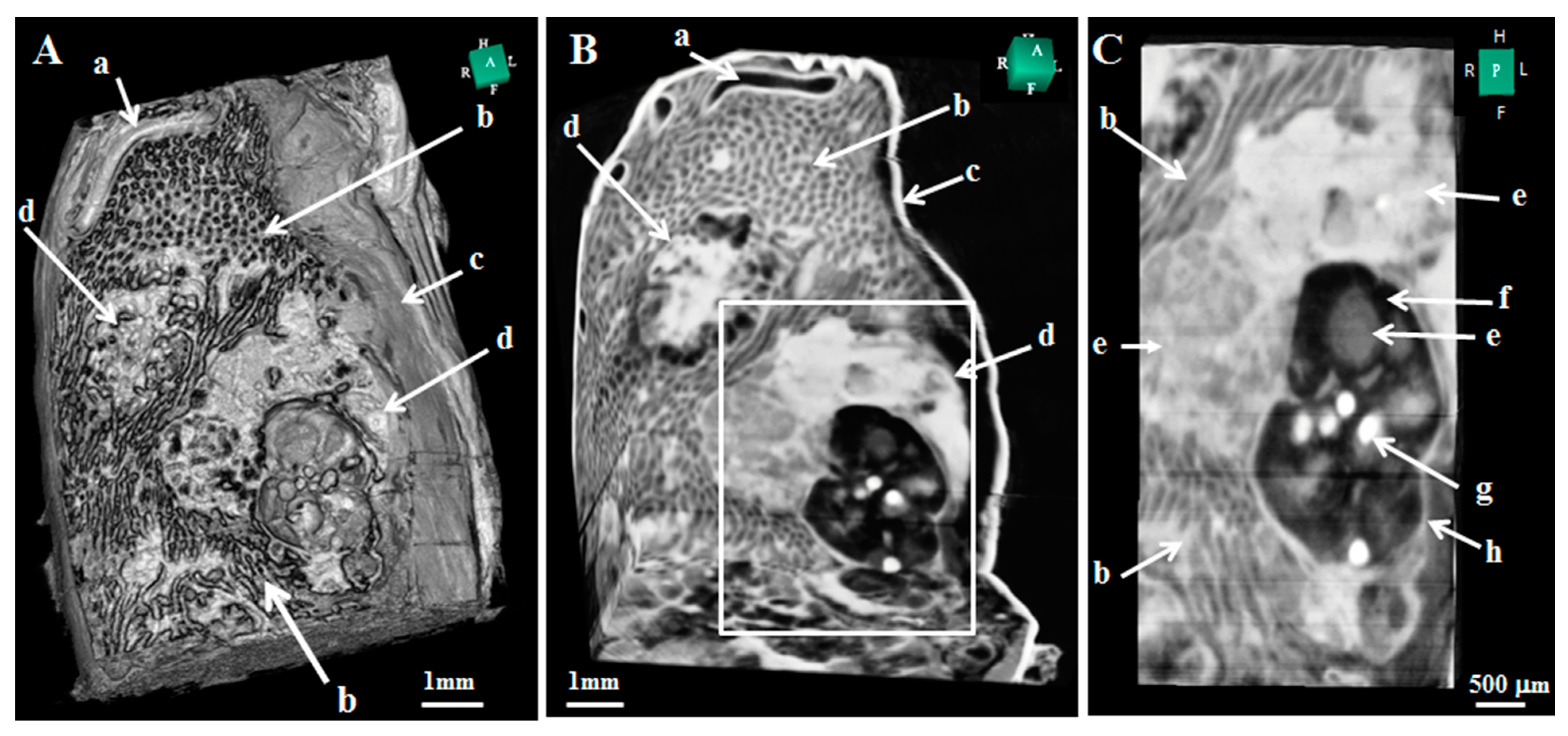 Applsci 13 05424 g008