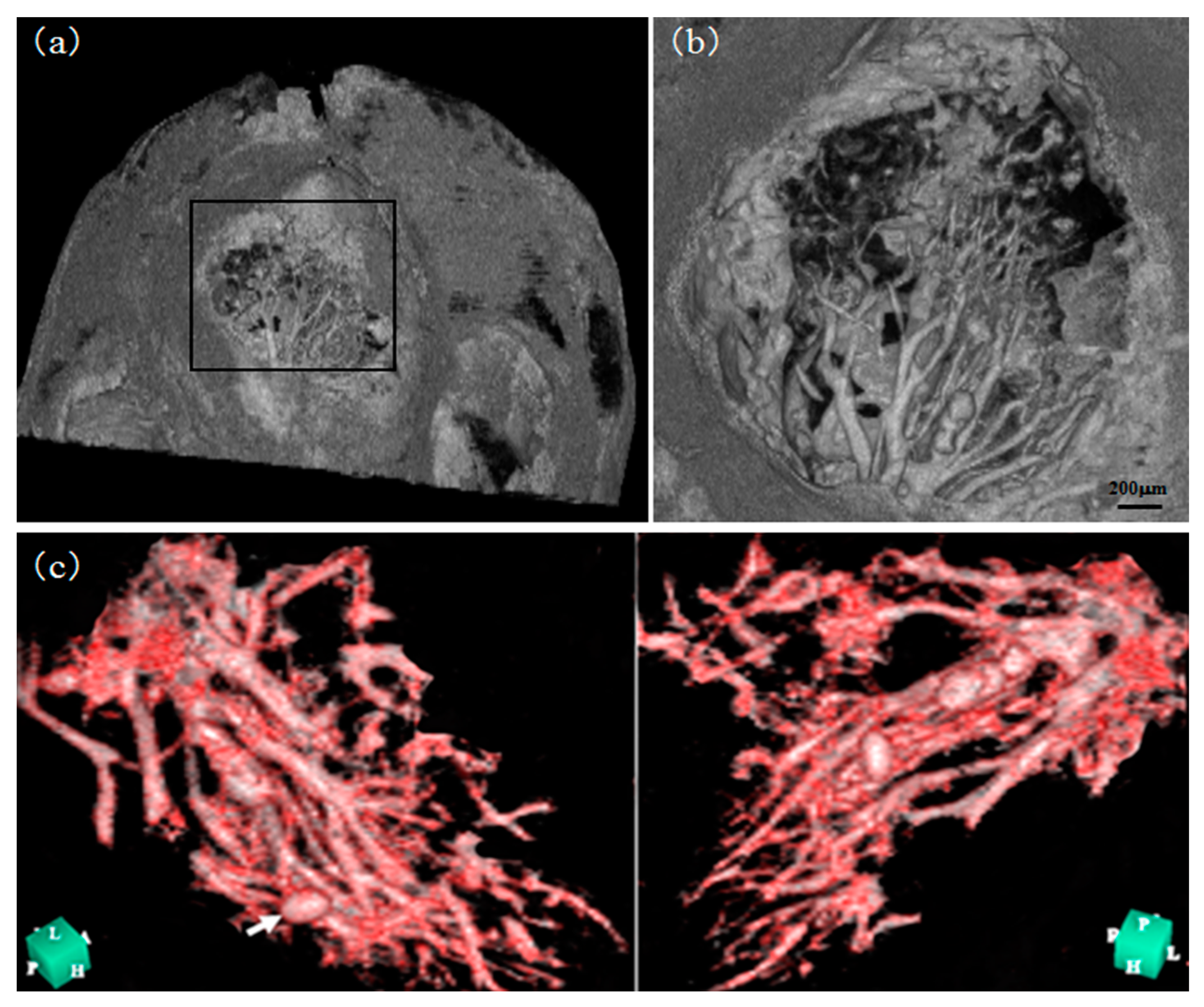 Applsci 13 05424 g009