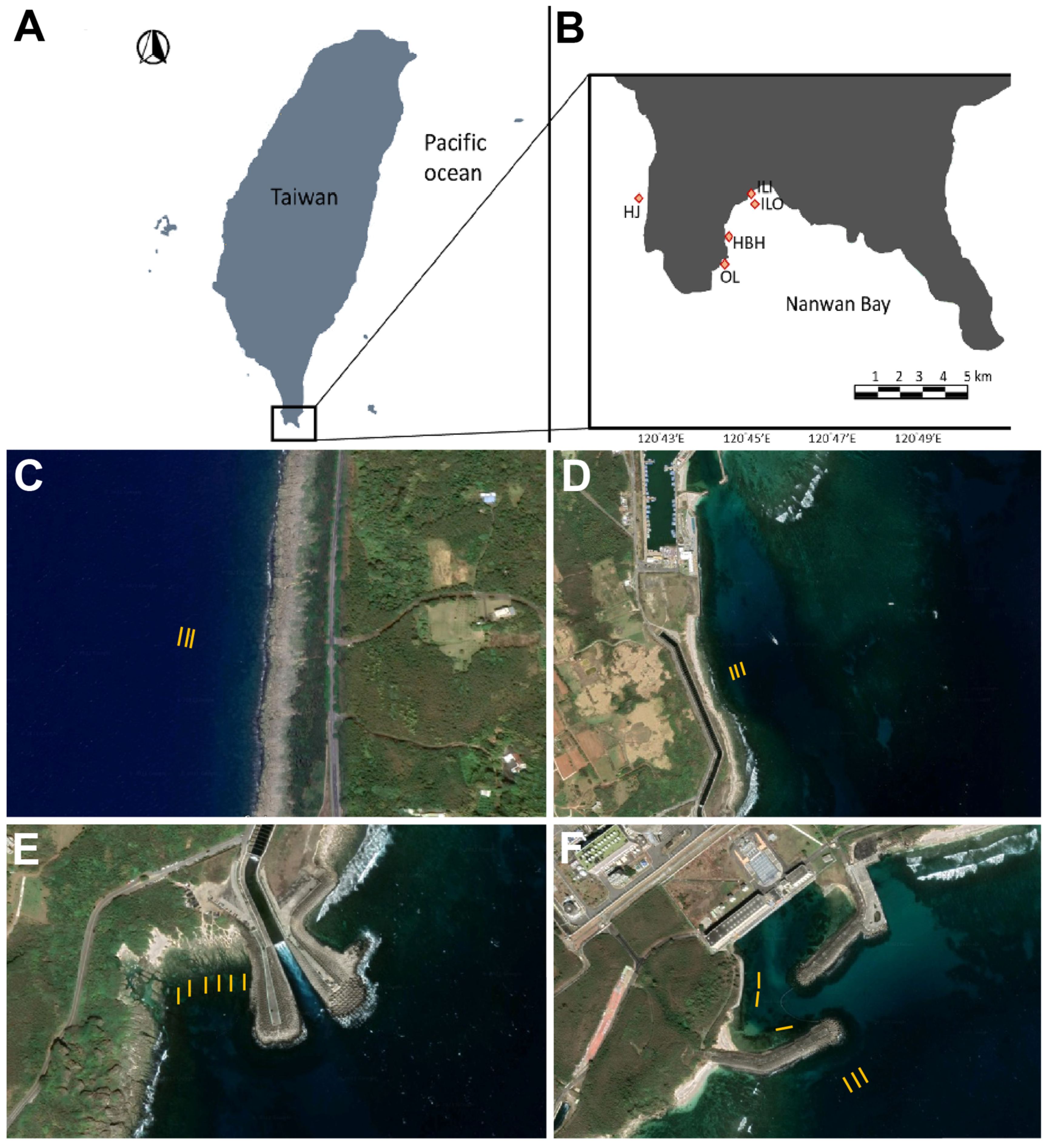 Applsci 13 05554 g001 Applsci 13 05554 g001