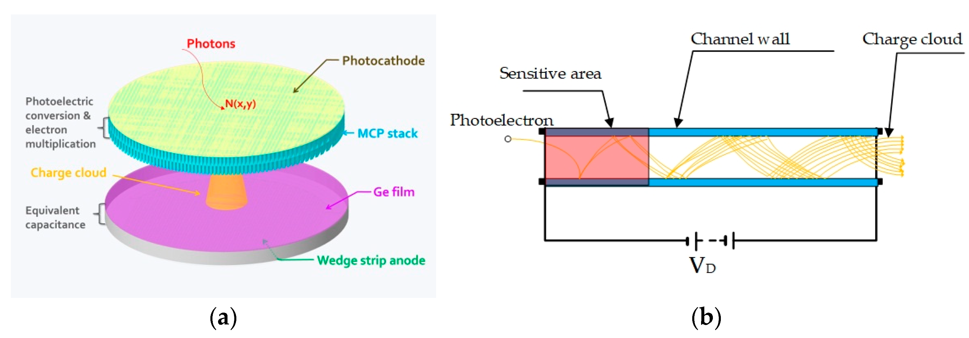 Applsci 13 05905 g001
