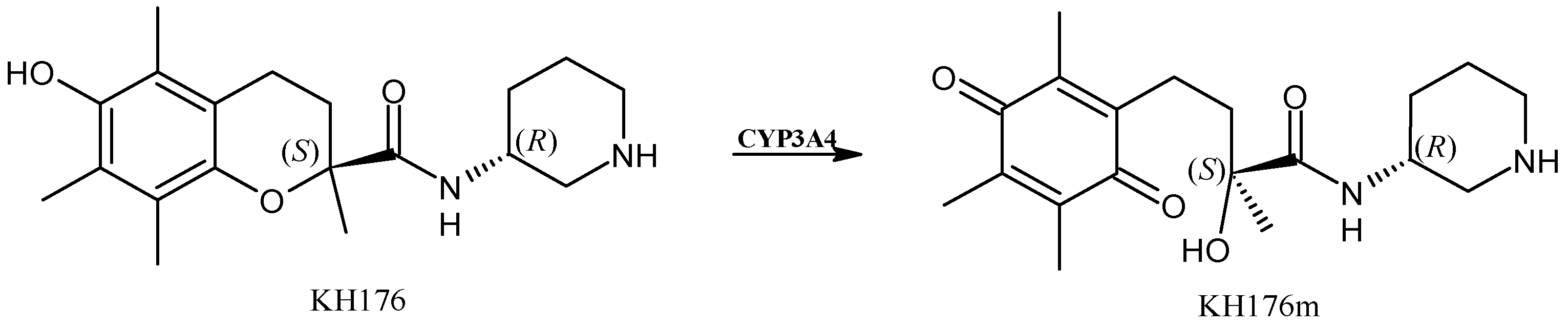 Applsci 13 06045 g004
