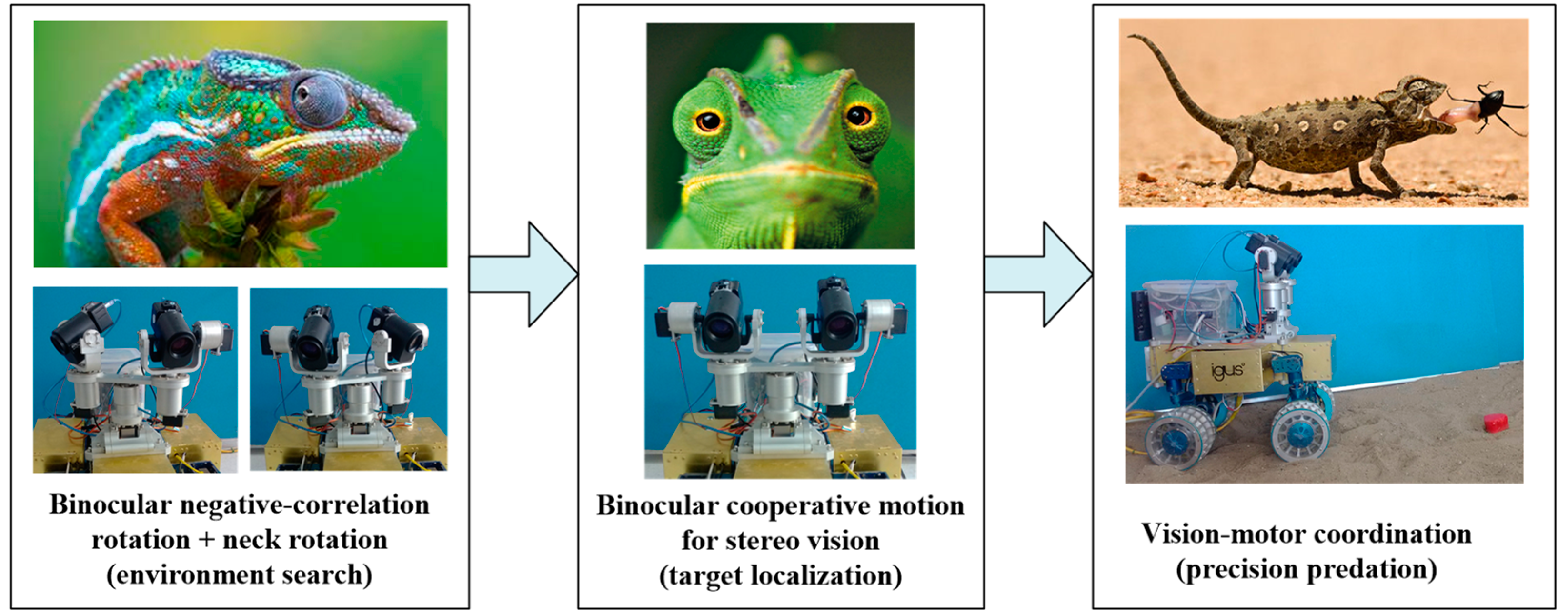 Applsci 13 06069 g002 Applsci 13 06069 g002