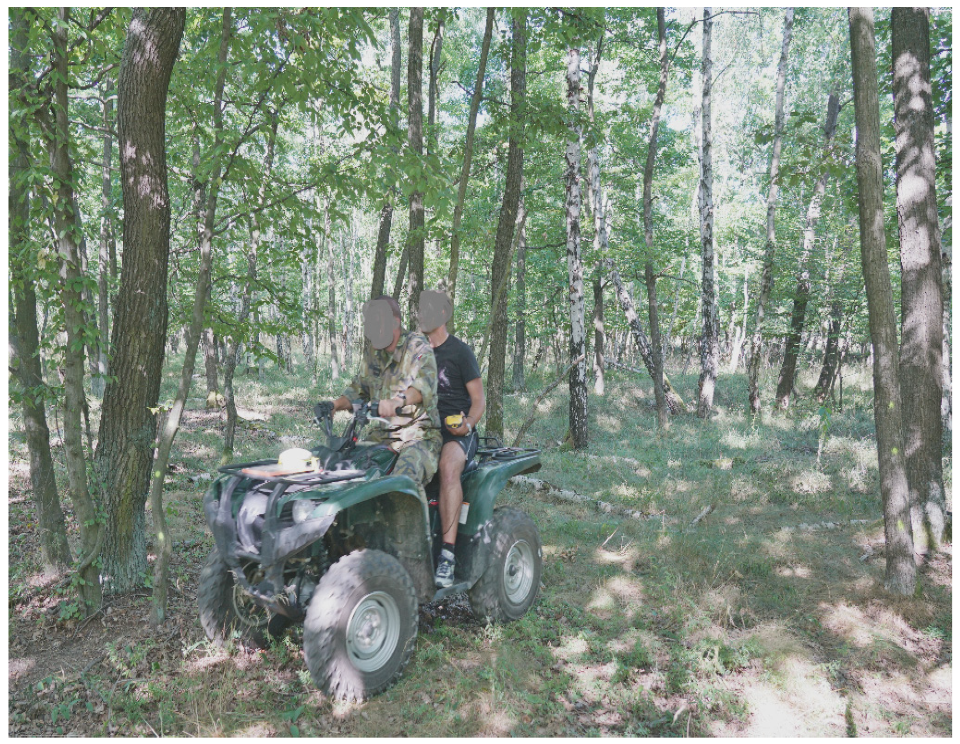 Applsci 13 06142 g003 Applsci 13 06142 g003