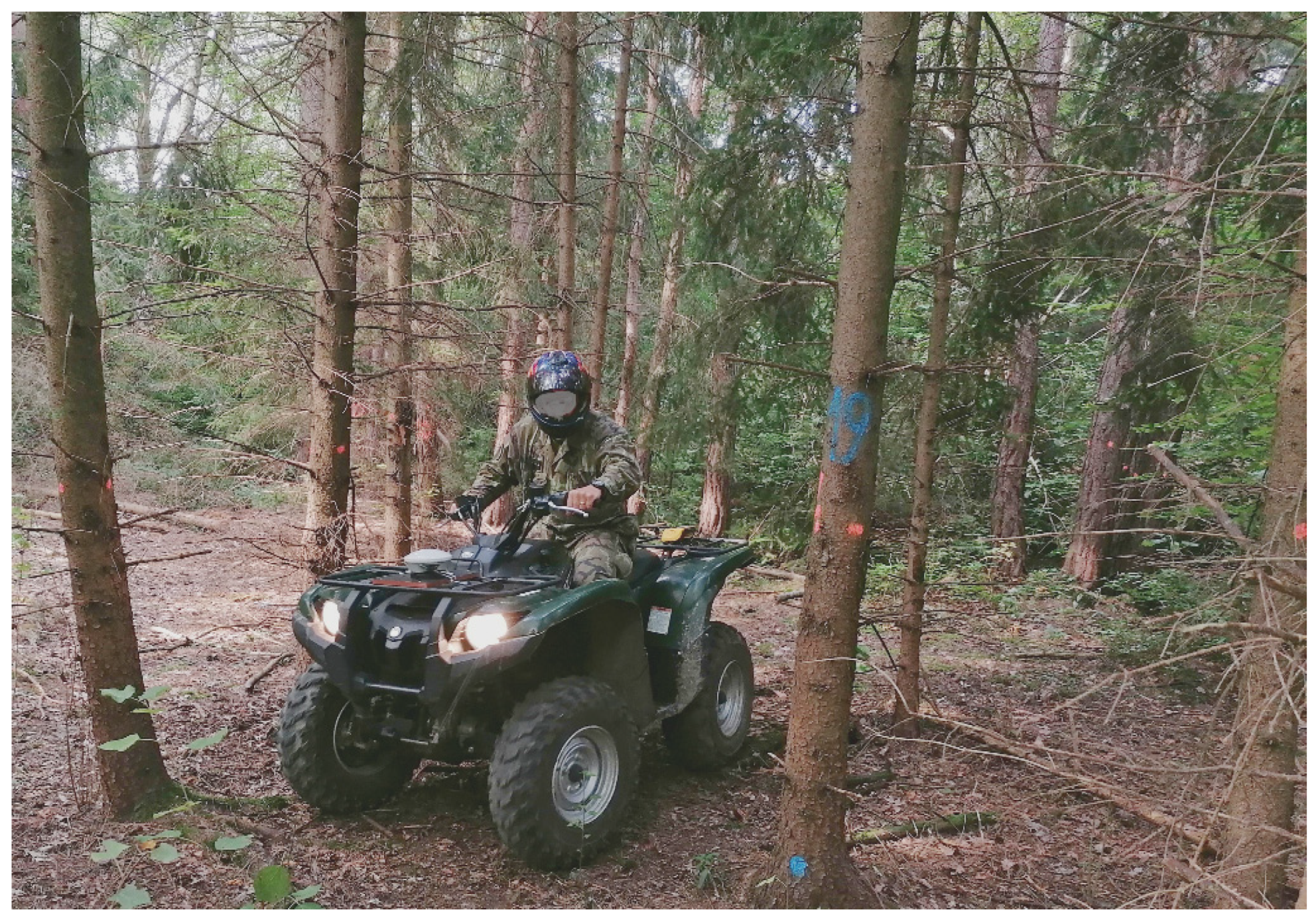 Applsci 13 06142 g004 Applsci 13 06142 g004