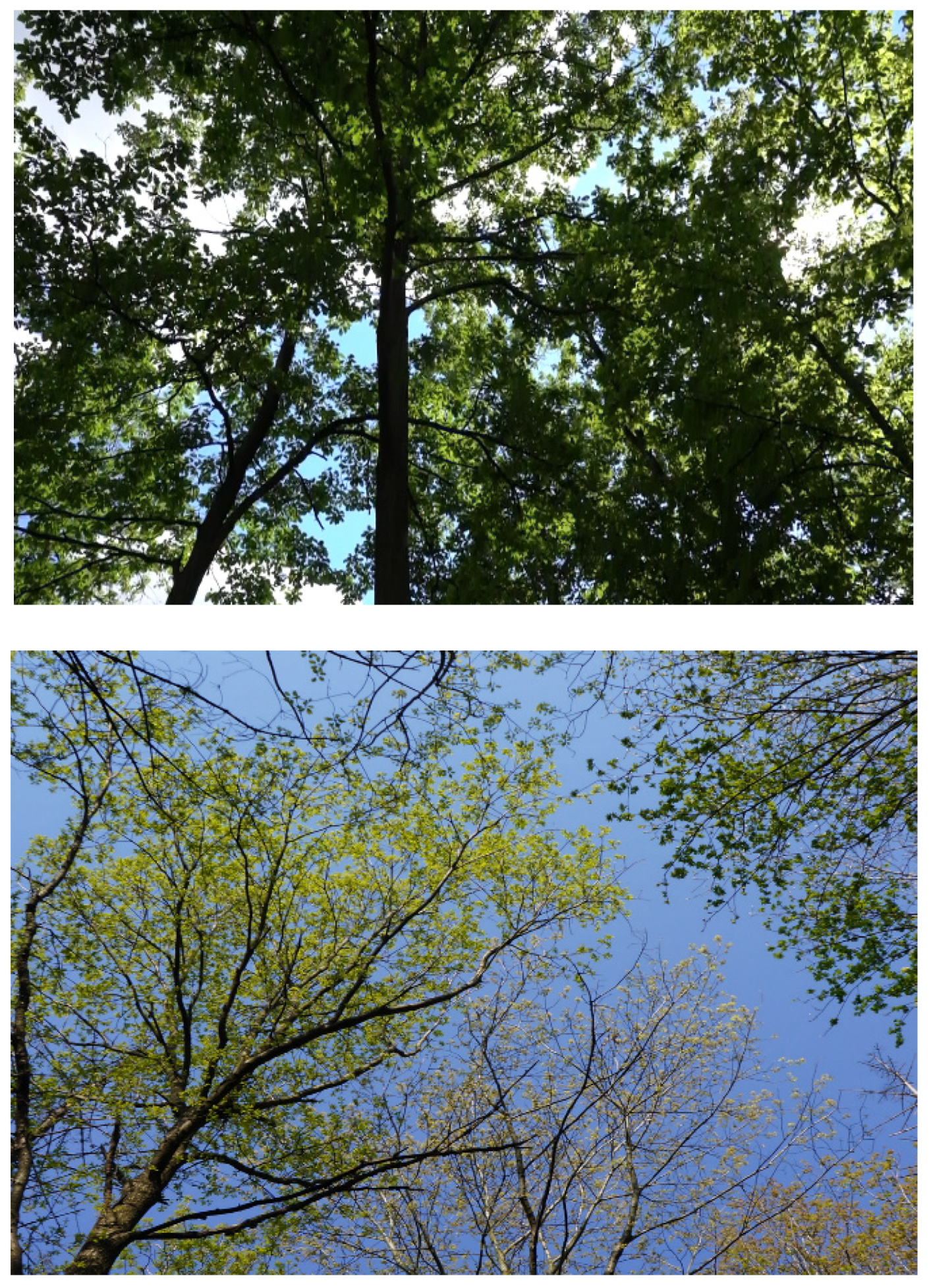 Applsci 13 06142 g017 Applsci 13 06142 g017