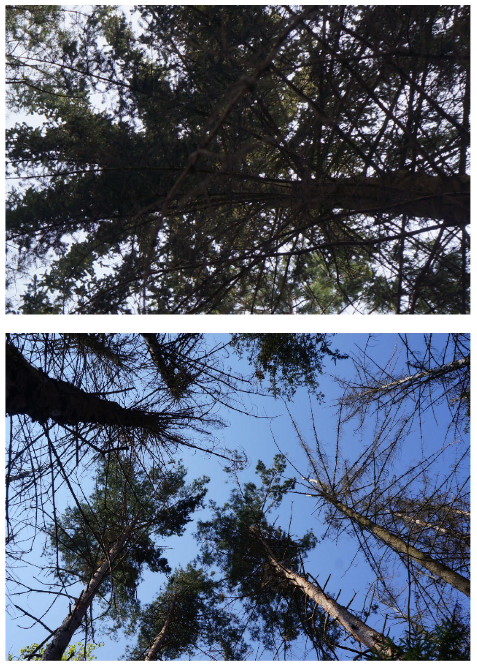 Applsci 13 06142 g018 Applsci 13 06142 g018