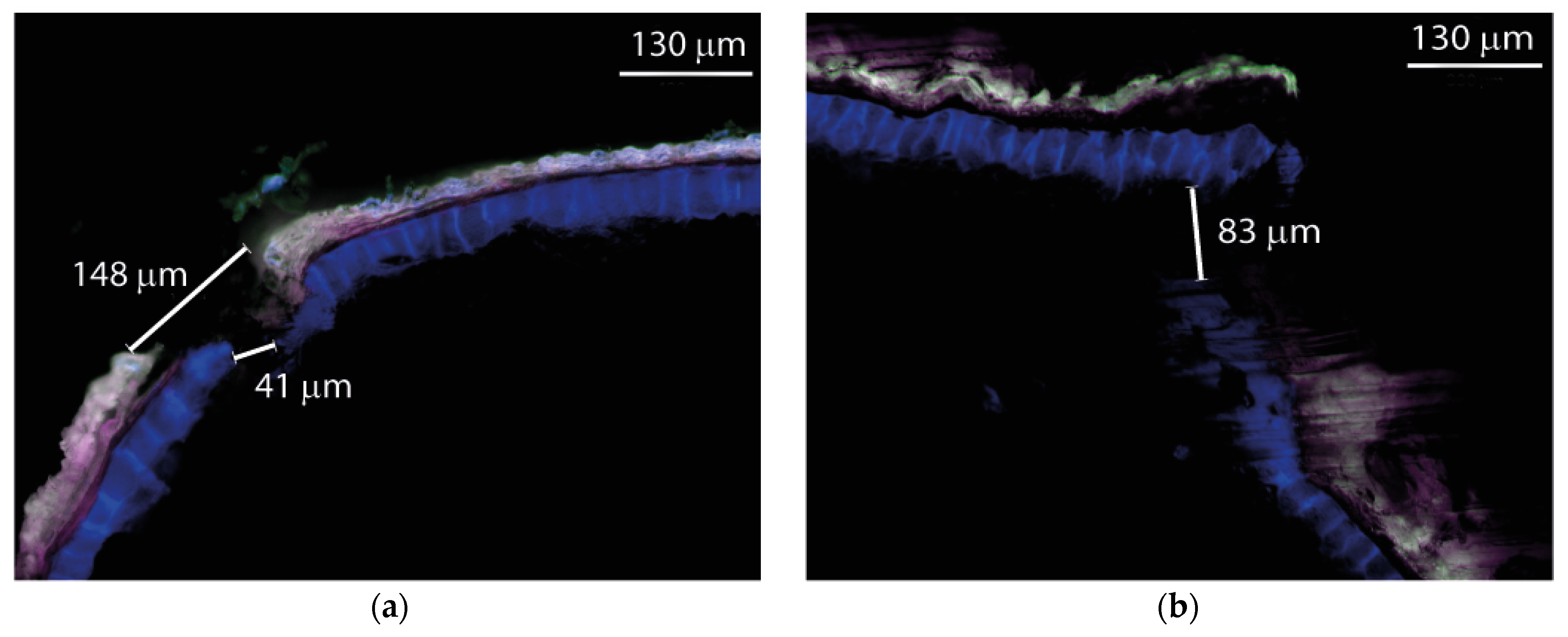 Applsci 13 06266 g004