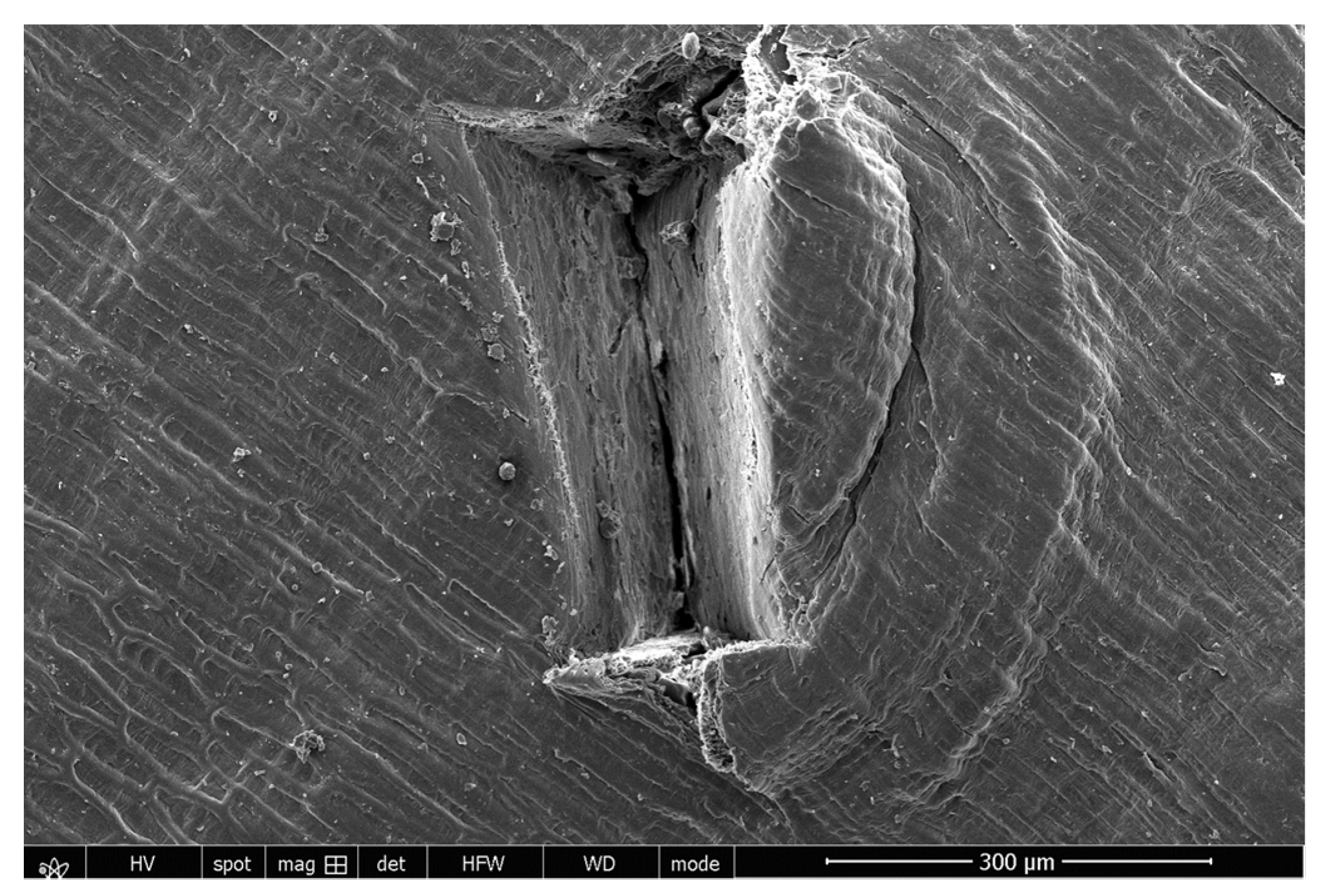 Applsci 13 06266 g006