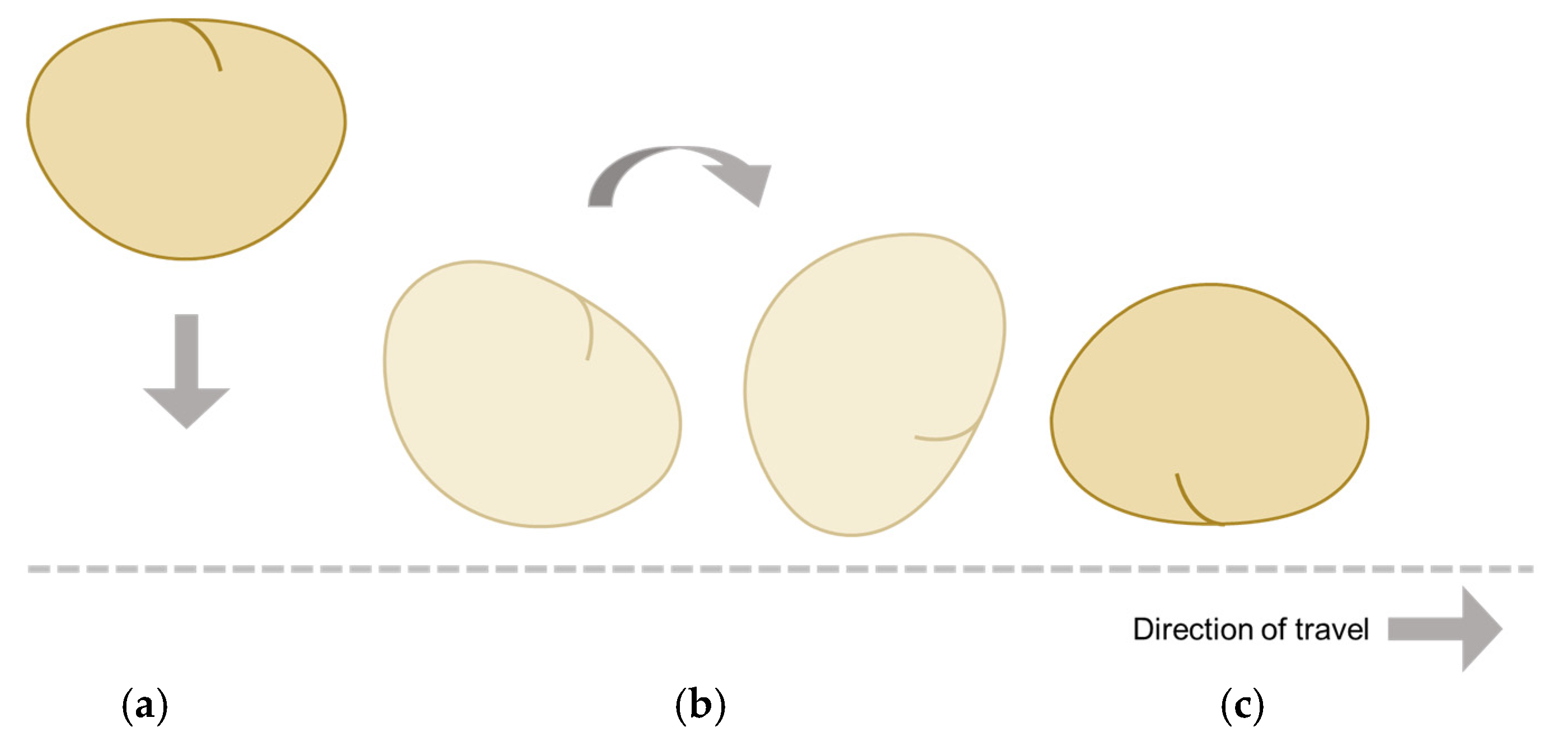 Applsci 13 06266 g008