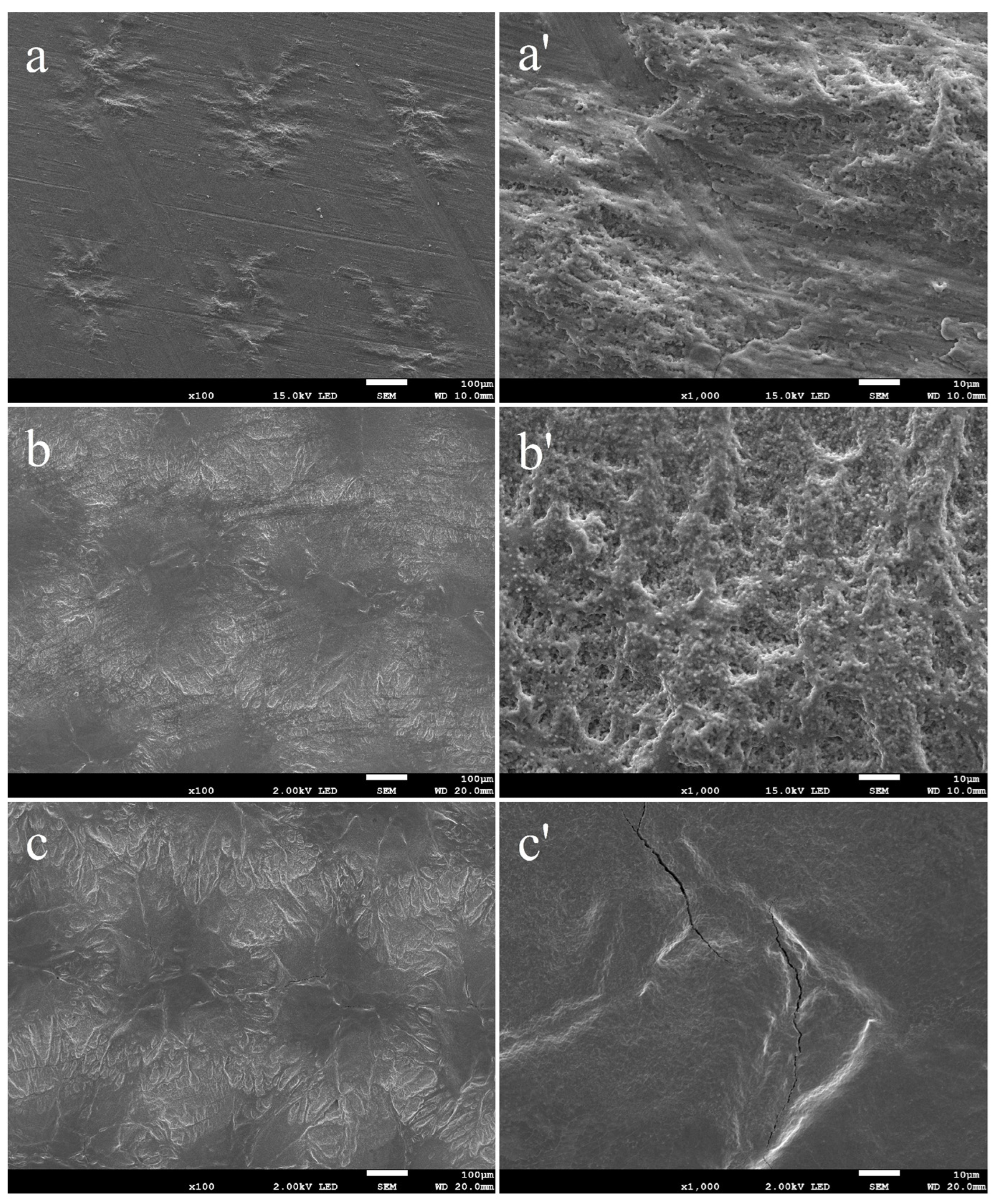 Applsci 13 06276 g002