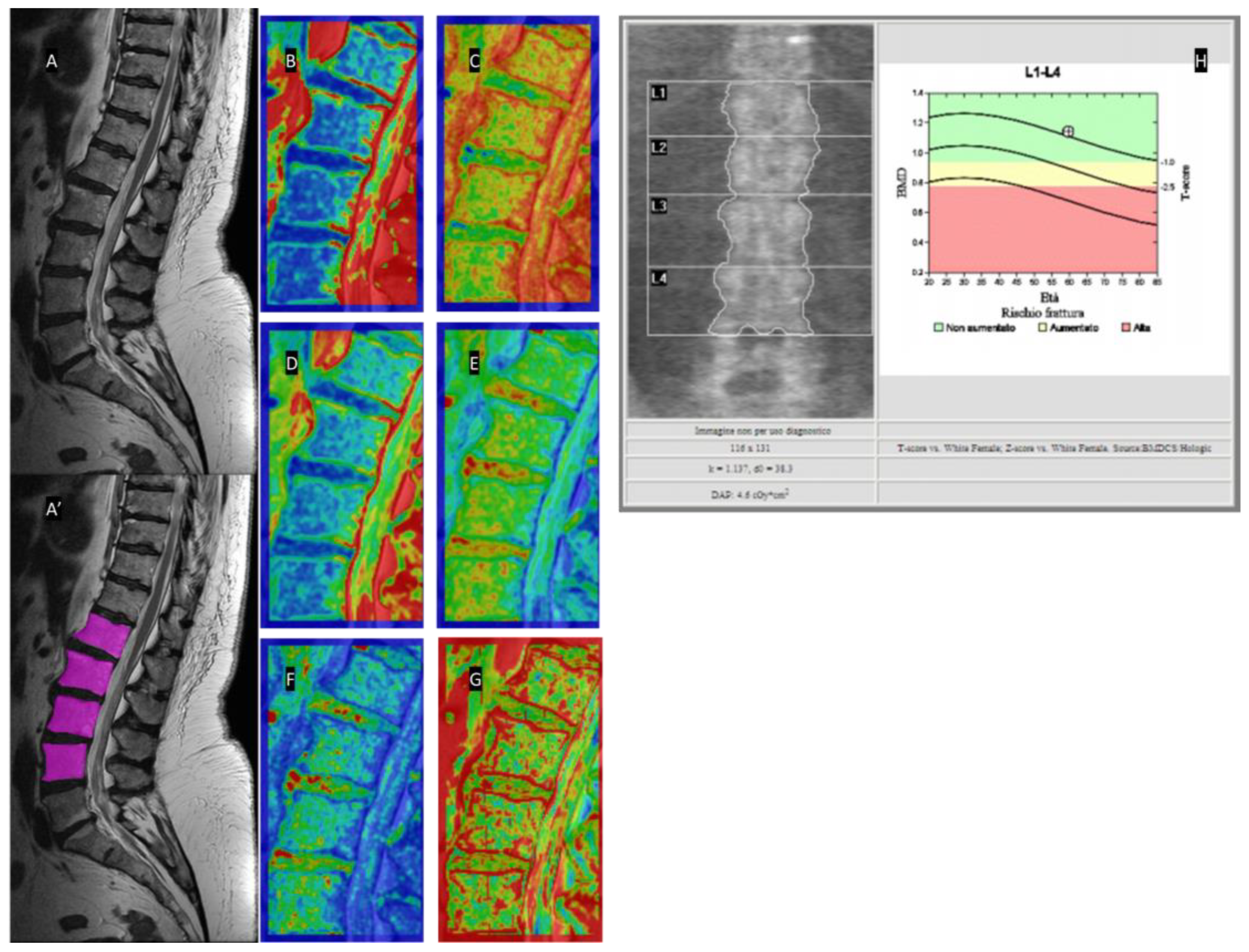 Applsci 13 06305 g001