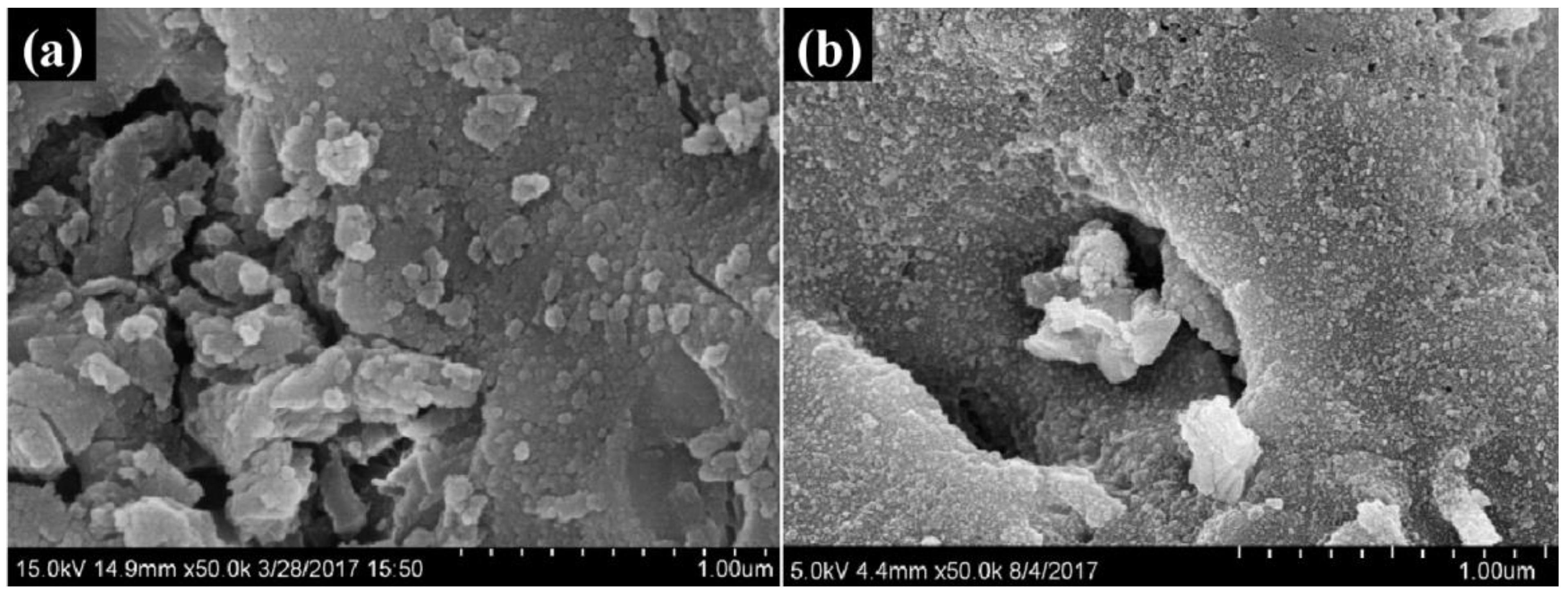 Applsci 13 06306 g001