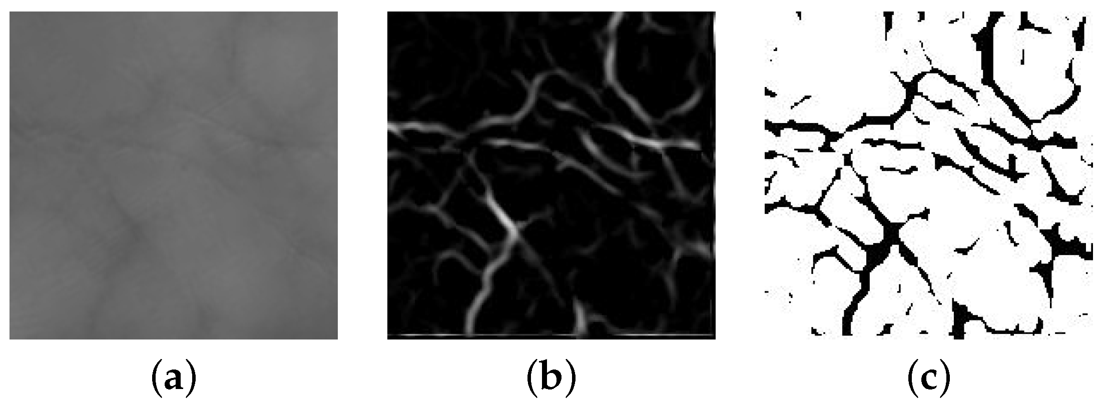 Applsci 13 06363 g004 Applsci 13 06363 g004