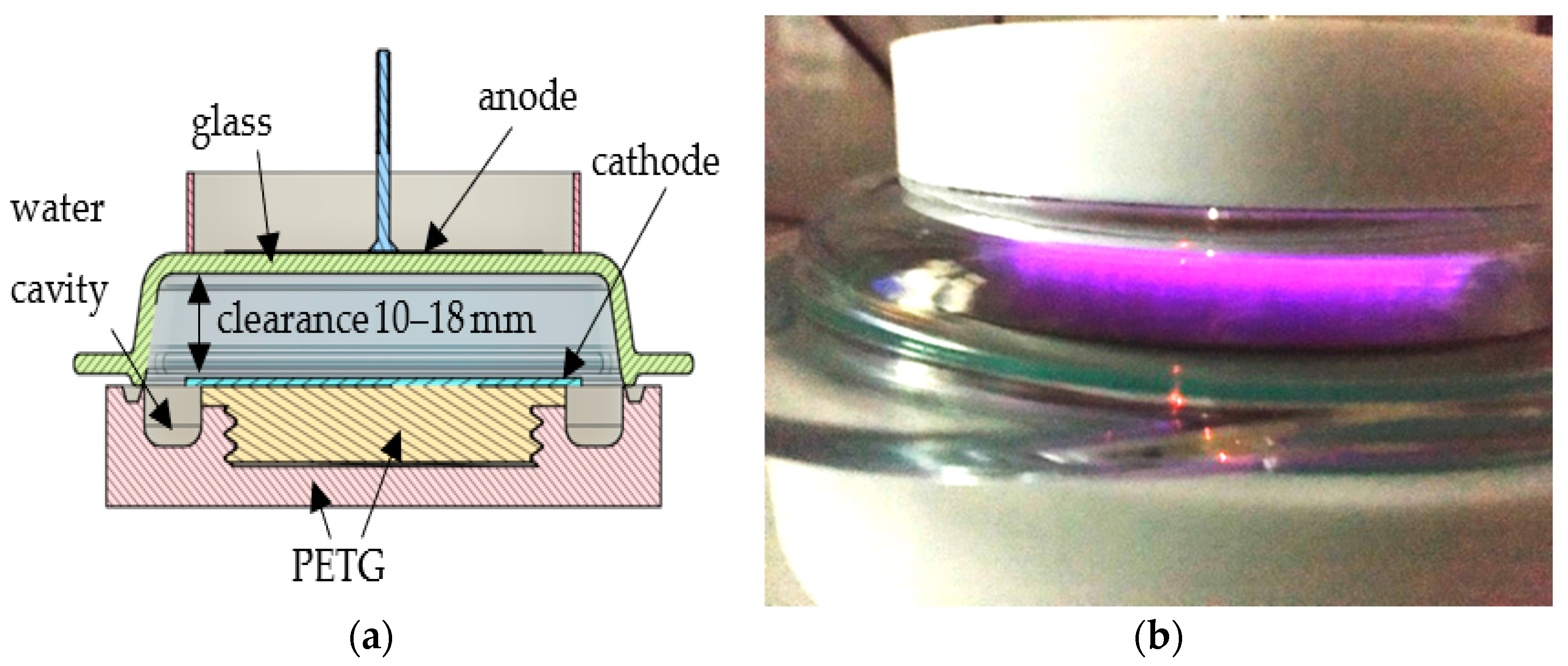 Applsci 13 06365 g001