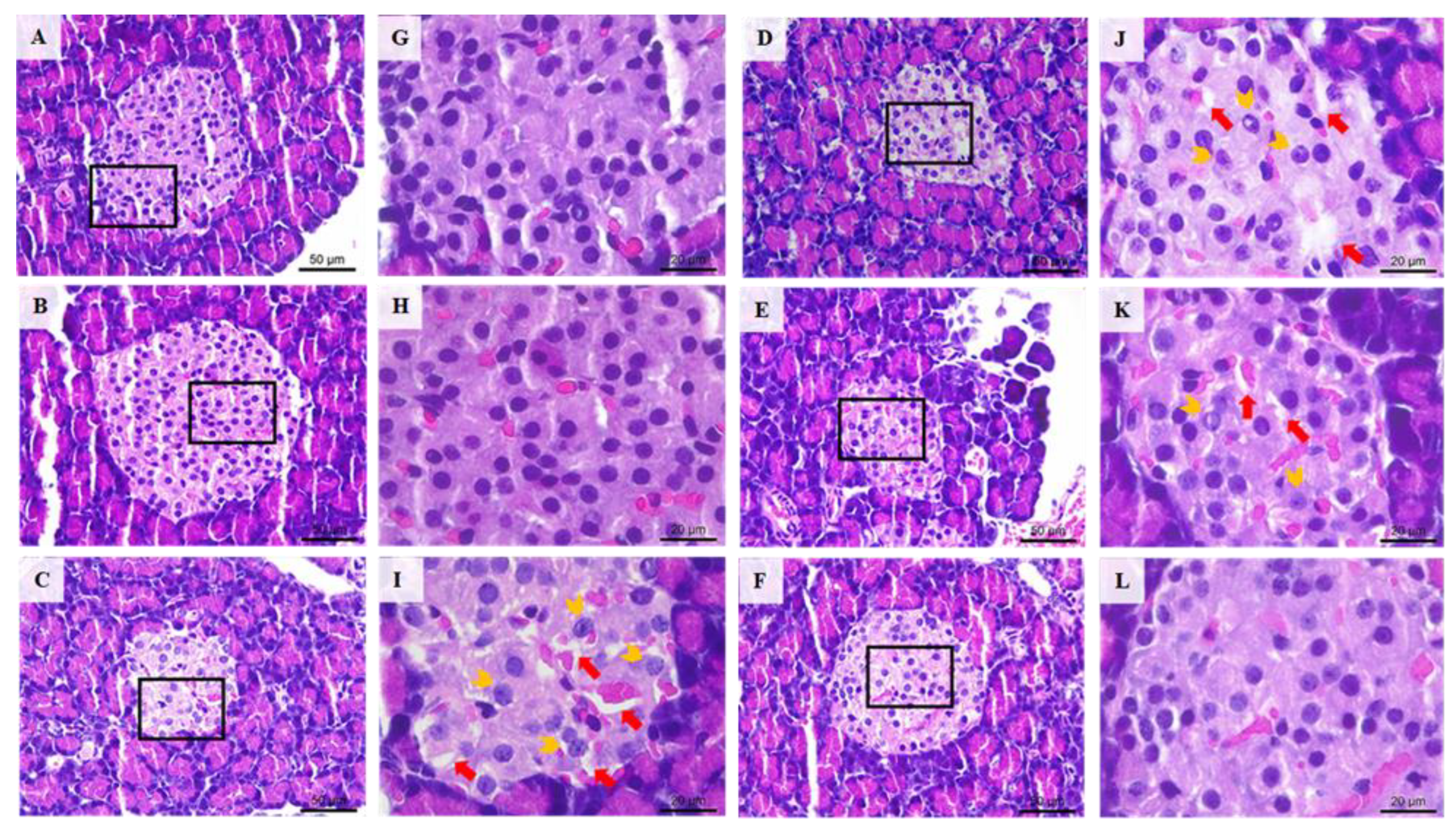 Applsci 13 06454 g008 Applsci 13 06454 g008
