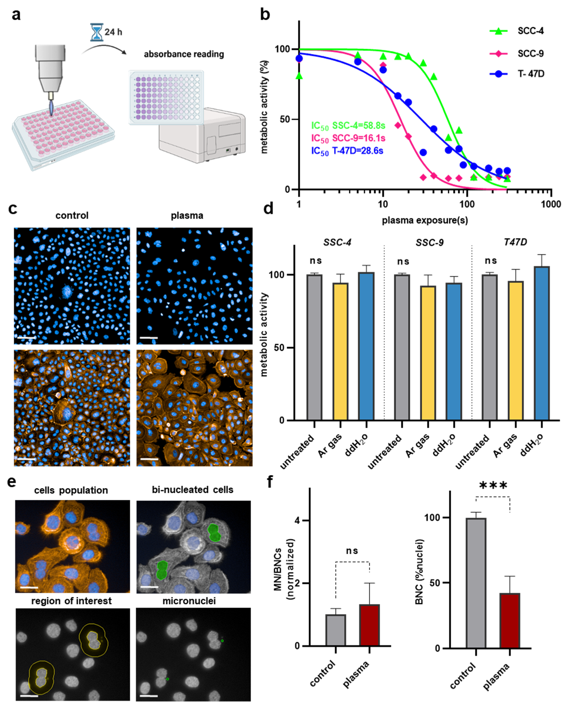 Applsci 13 06472 g001 Applsci 13 06472 g001