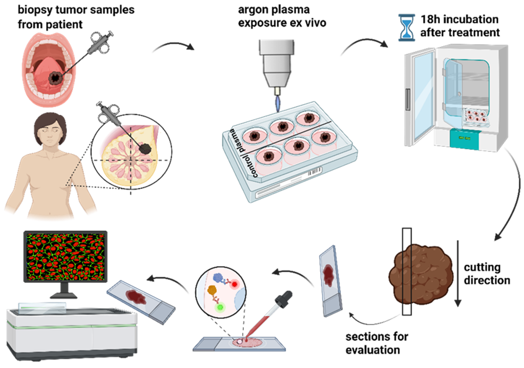 Applsci 13 06472 g002 Applsci 13 06472 g002