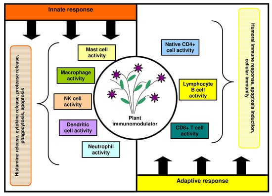 Applied Sciences | Free Full-Text | Pharmacological Properties and