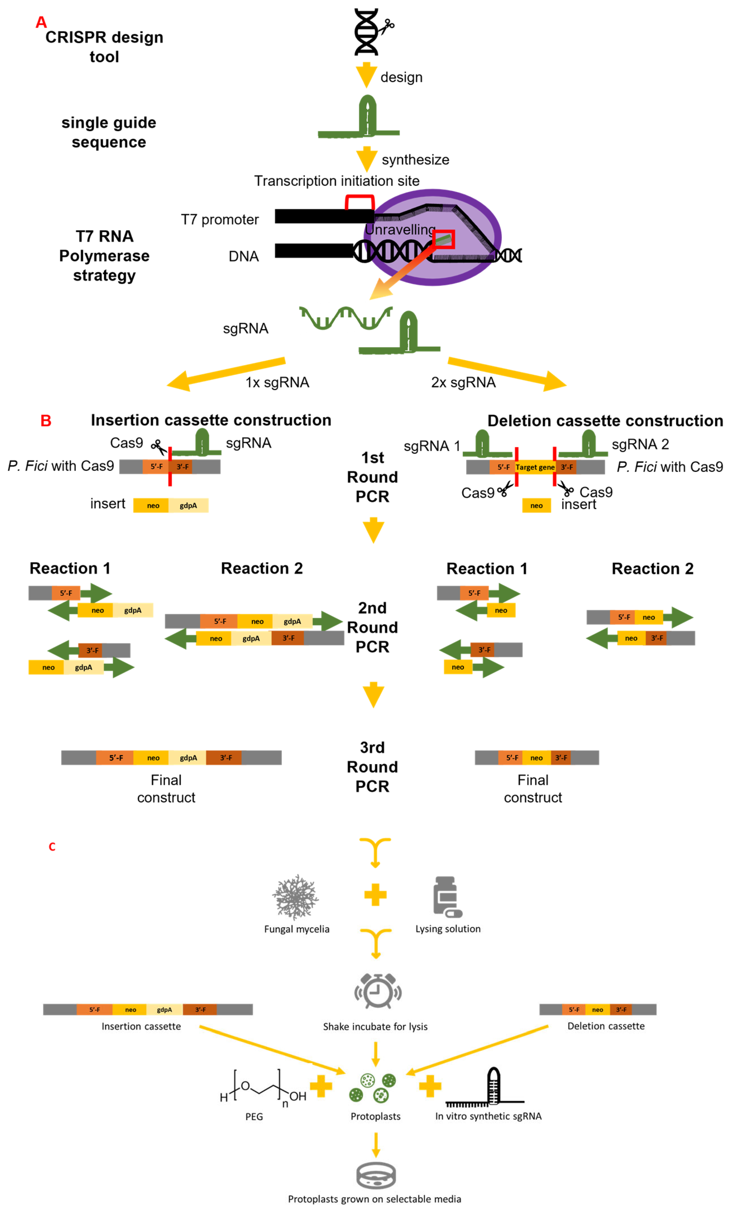Applsci 13 06507 g002 Applsci 13 06507 g002