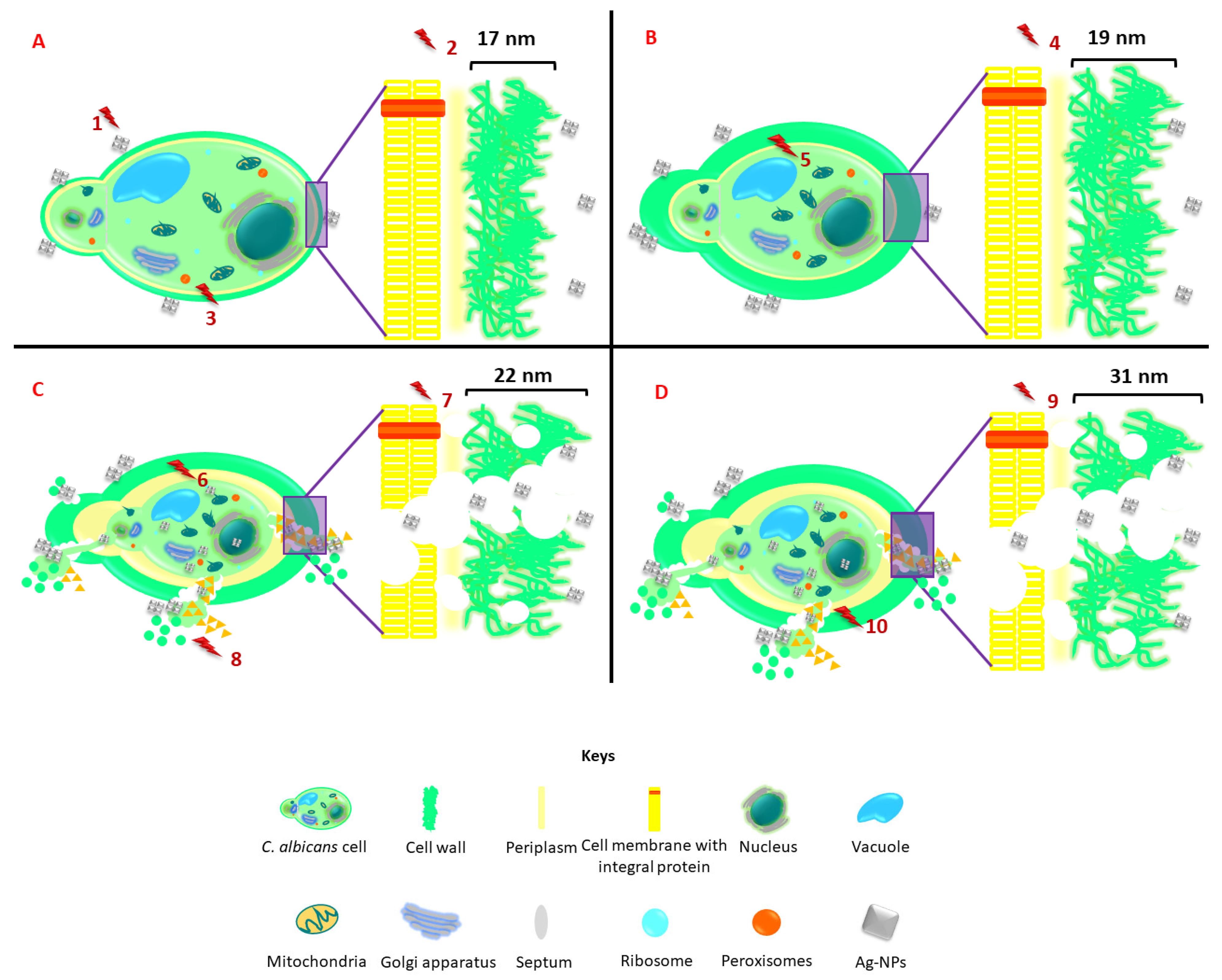 Applsci 13 06507 g003 Applsci 13 06507 g003