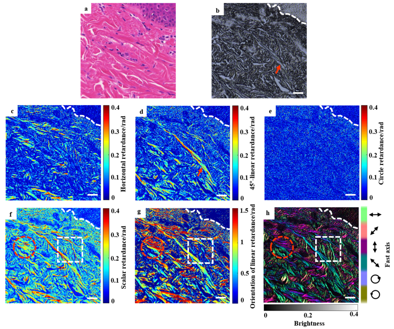 Applsci 13 06514 g005
