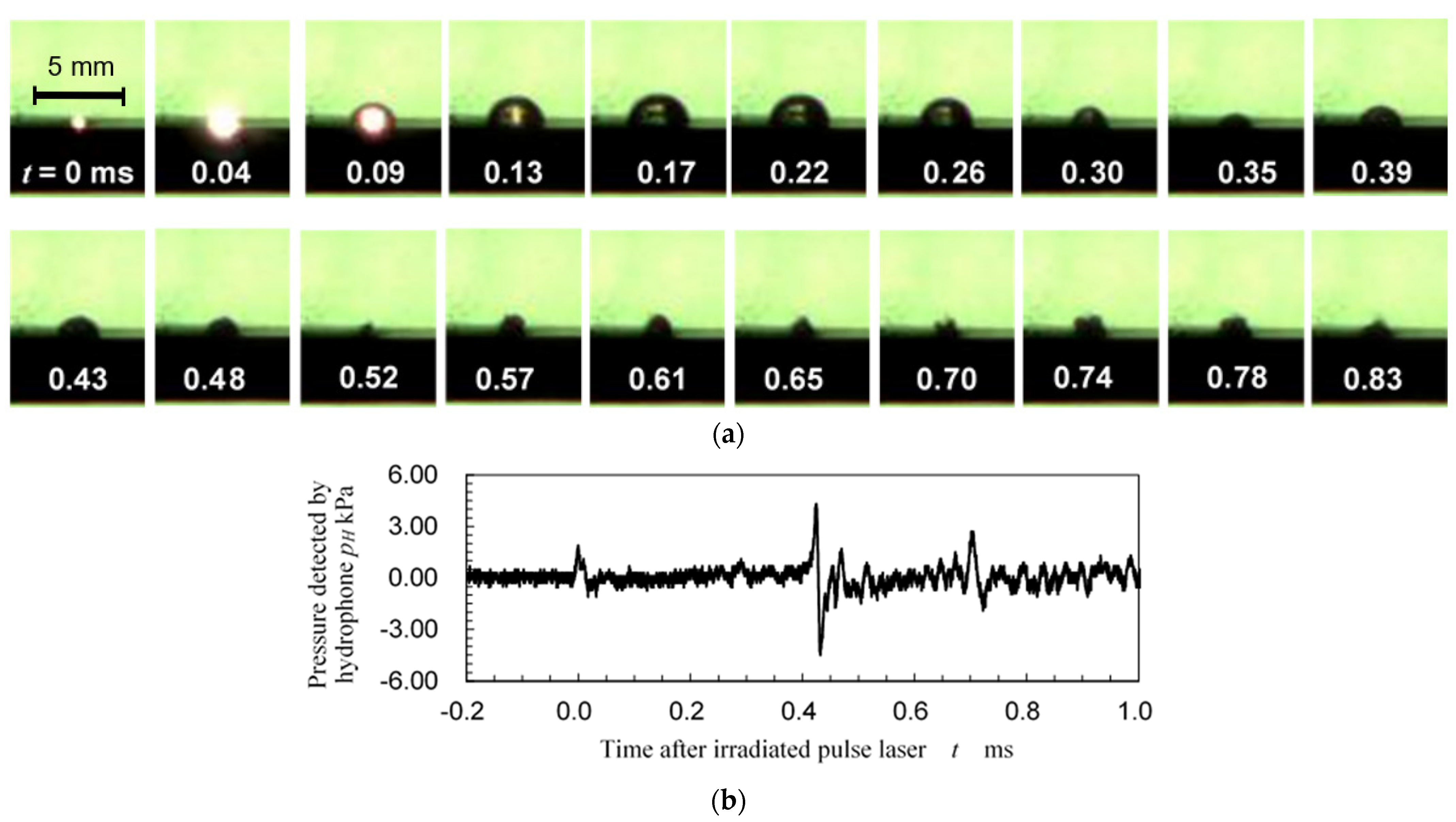 Applsci 13 06702 g026 Applsci 13 06702 g026