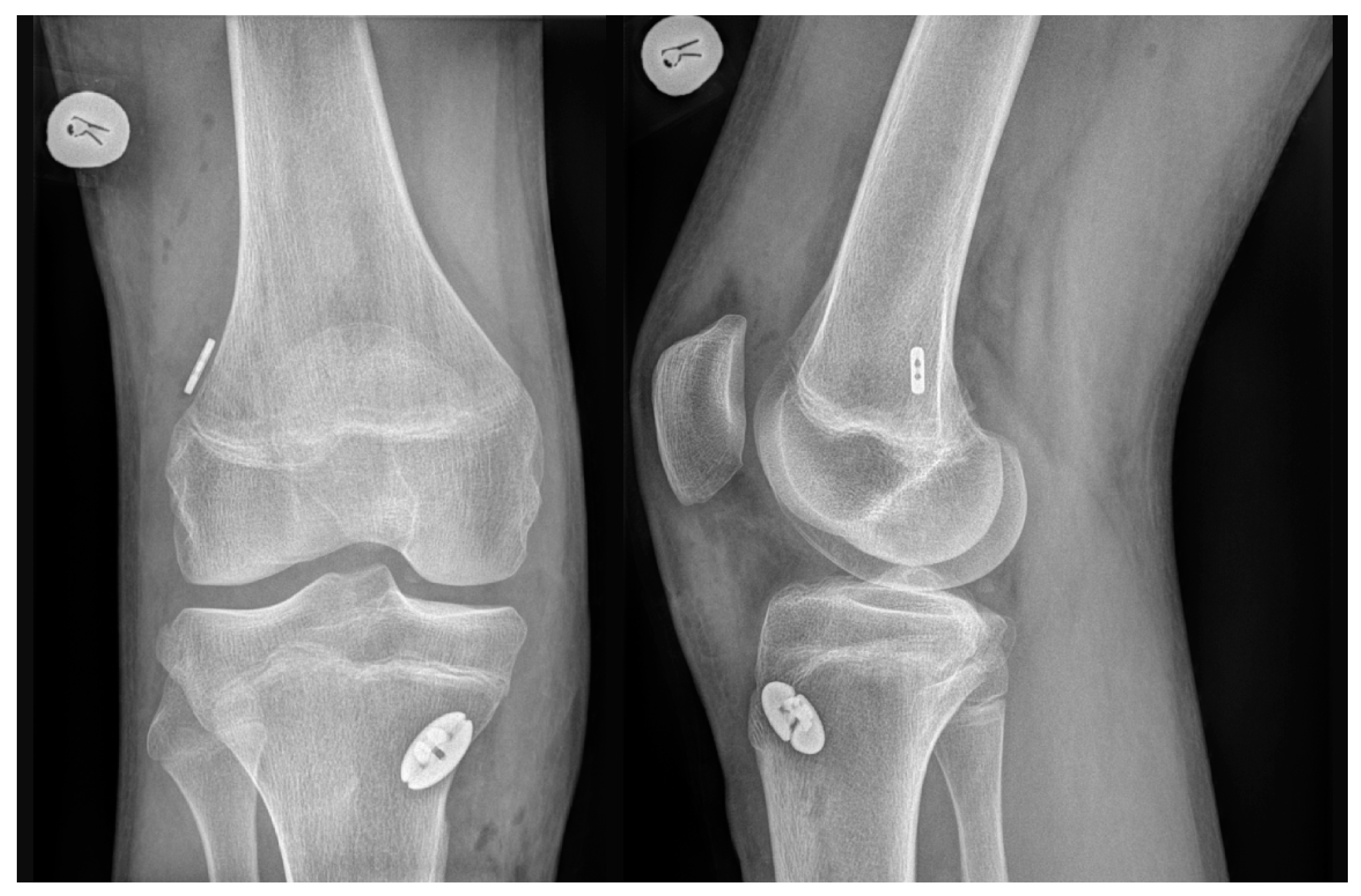 Applsci 13 06715 g002 Applsci 13 06715 g002