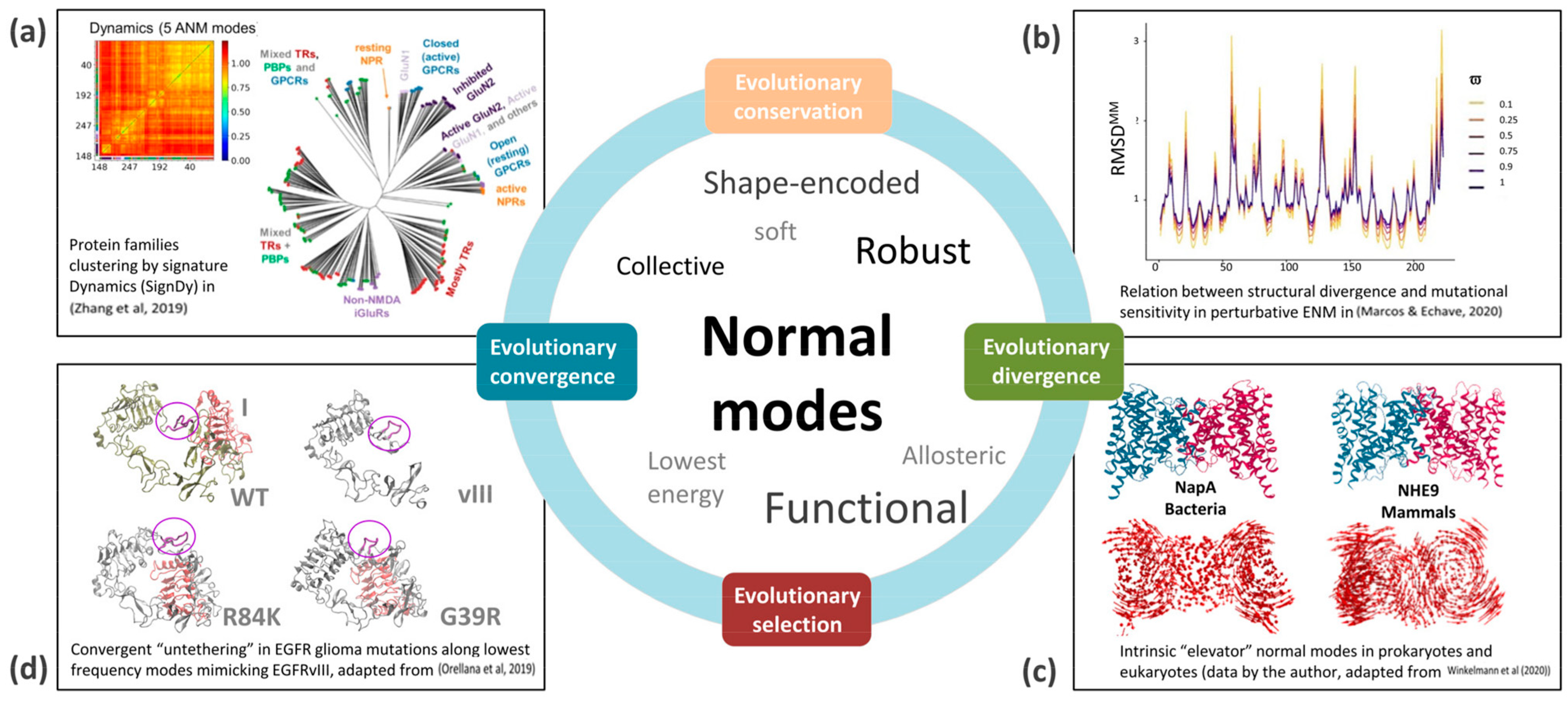 Hierarchy of time scales for protein motions. From left to right