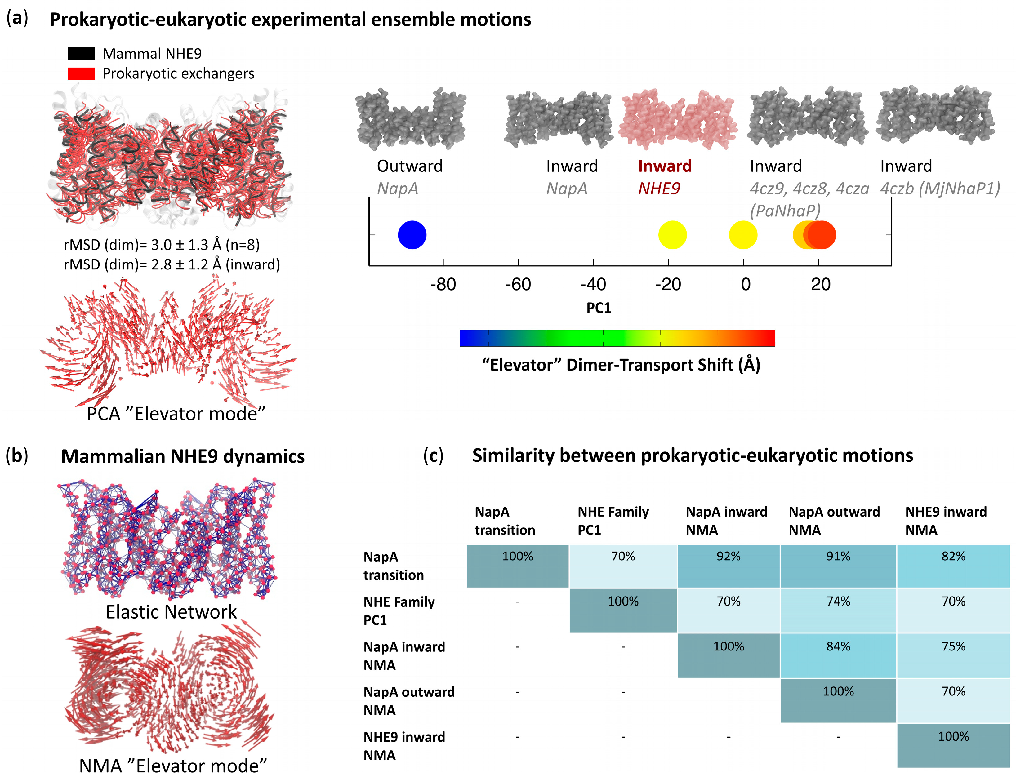 Applsci 13 06756 g002
