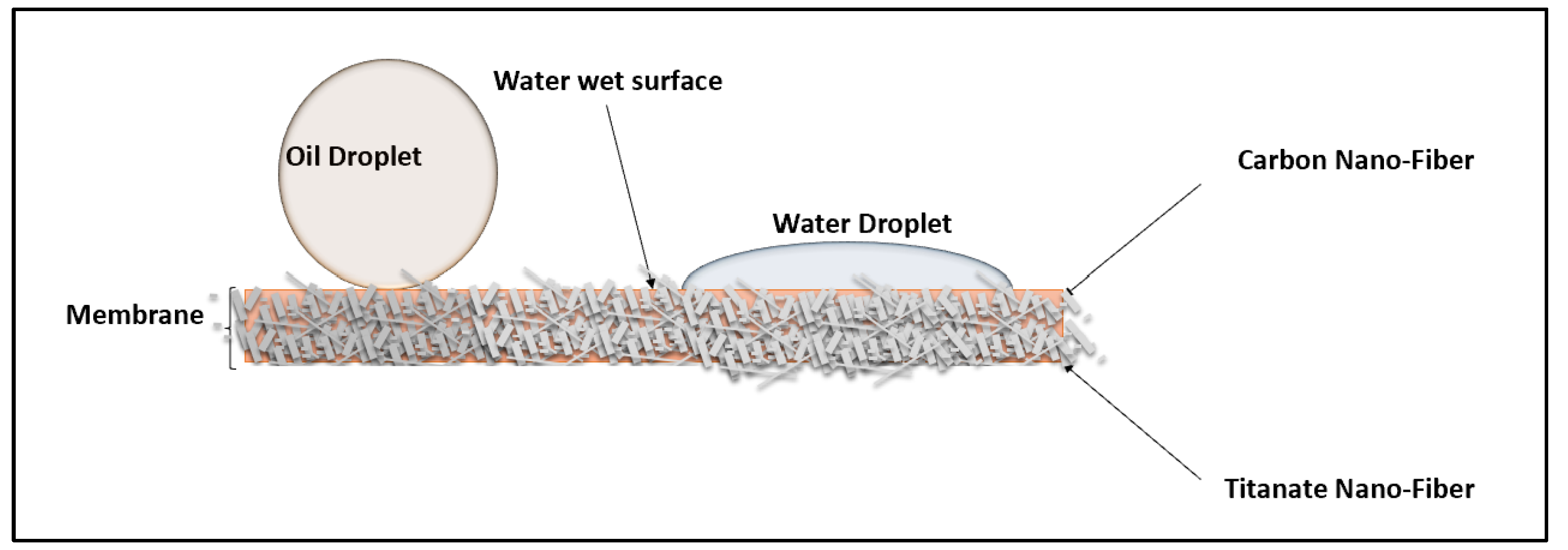 Applsci 13 06792 g003