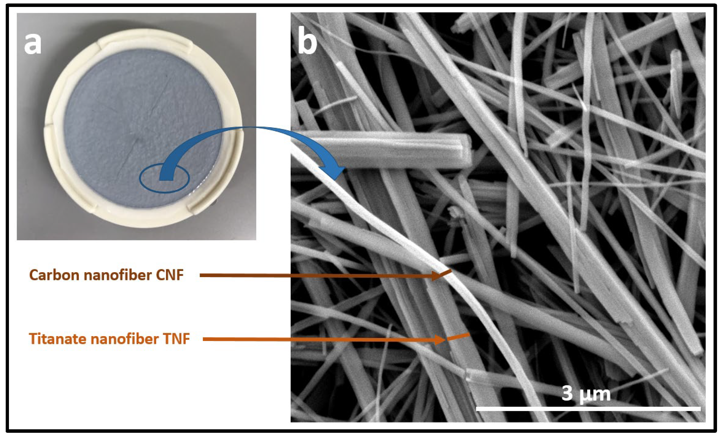 Applsci 13 06792 g004