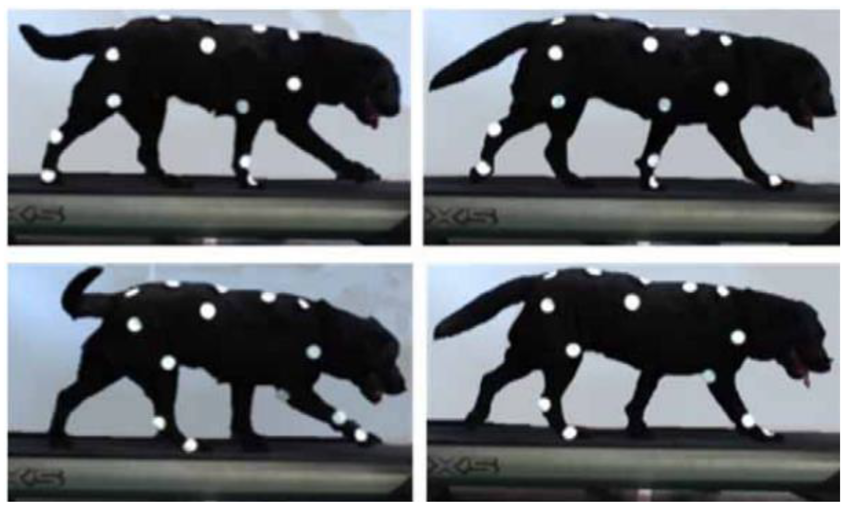 Applsci 13 06876 g014 Applsci 13 06876 g014