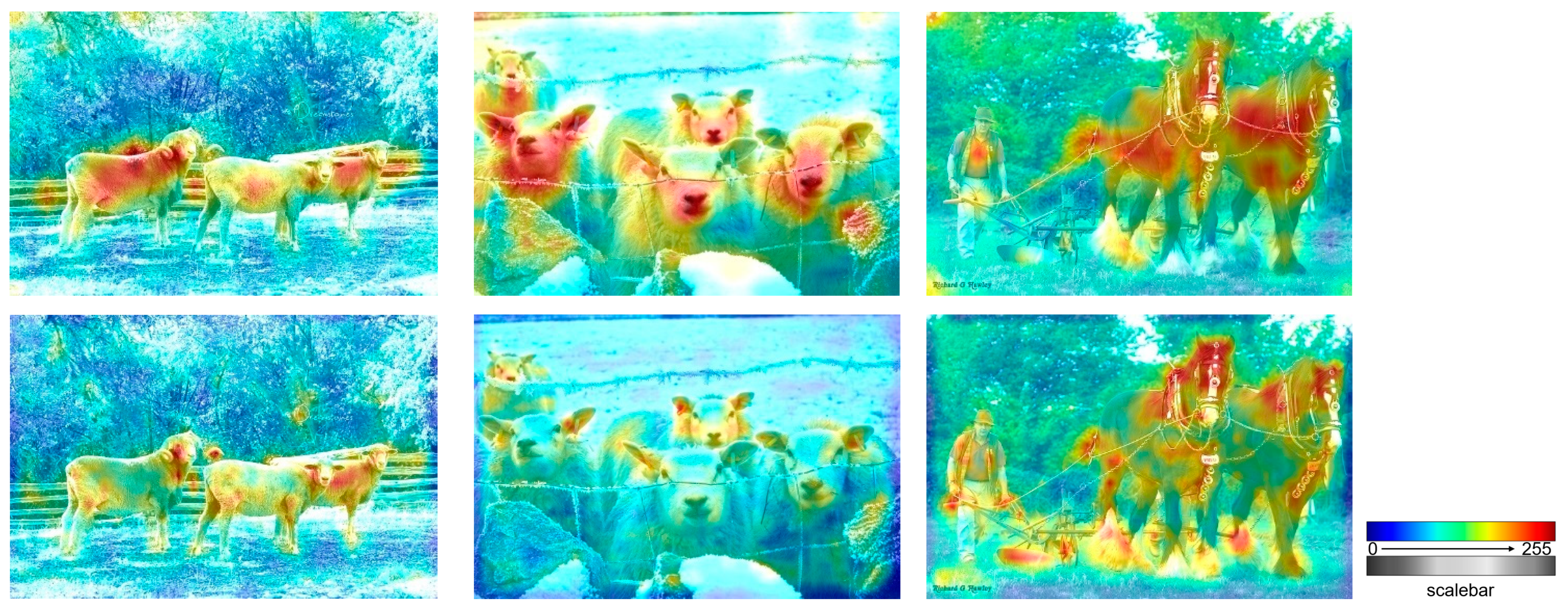 Applsci 13 06933 g011 Applsci 13 06933 g011