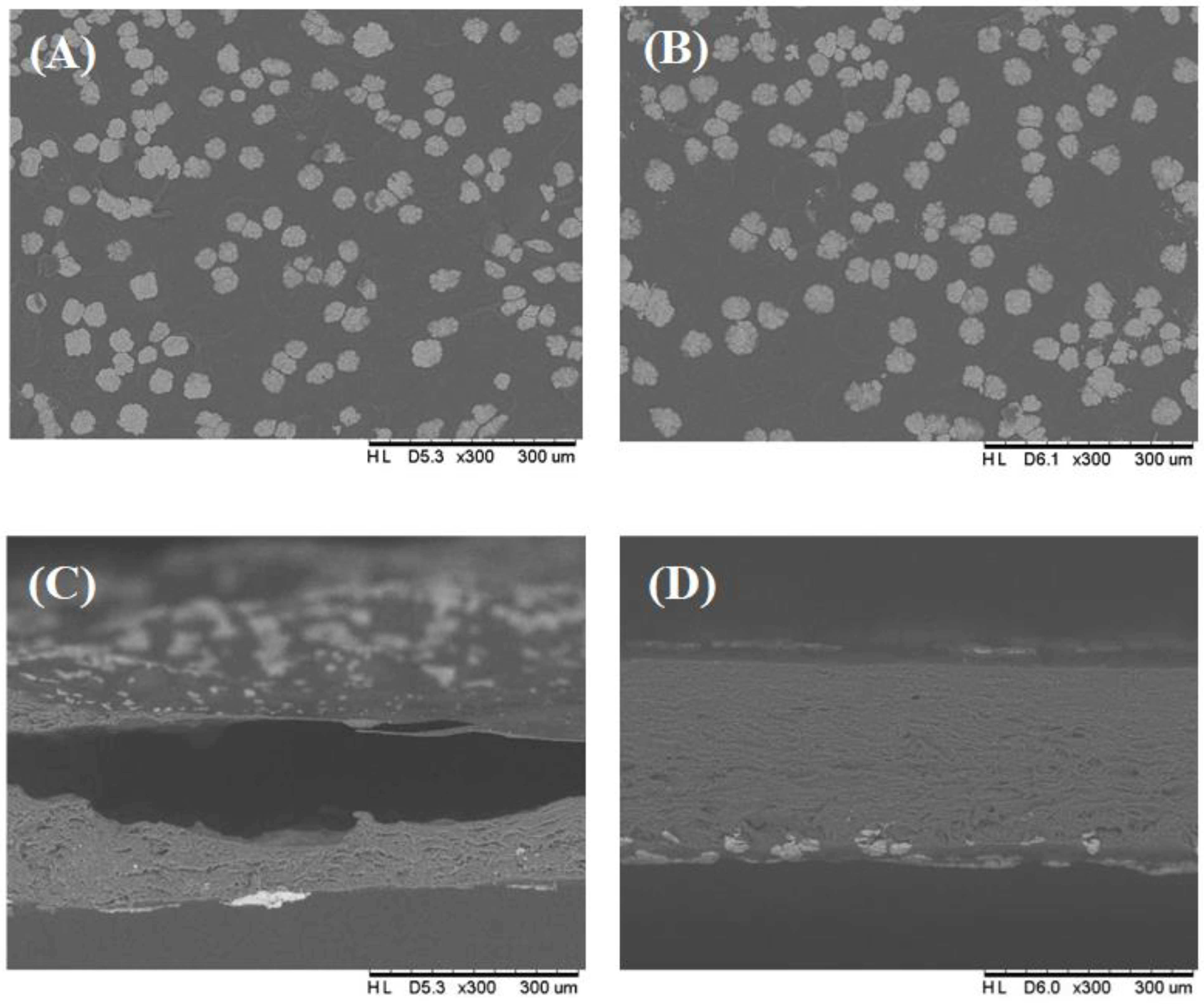 Applsci 13 06959 g005 Applsci 13 06959 g005