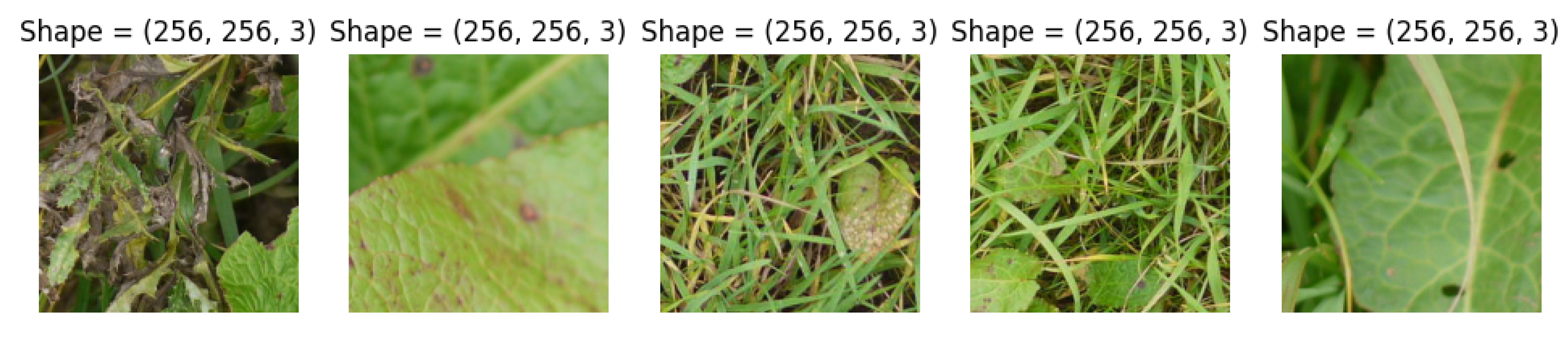 Applsci 13 07083 g002