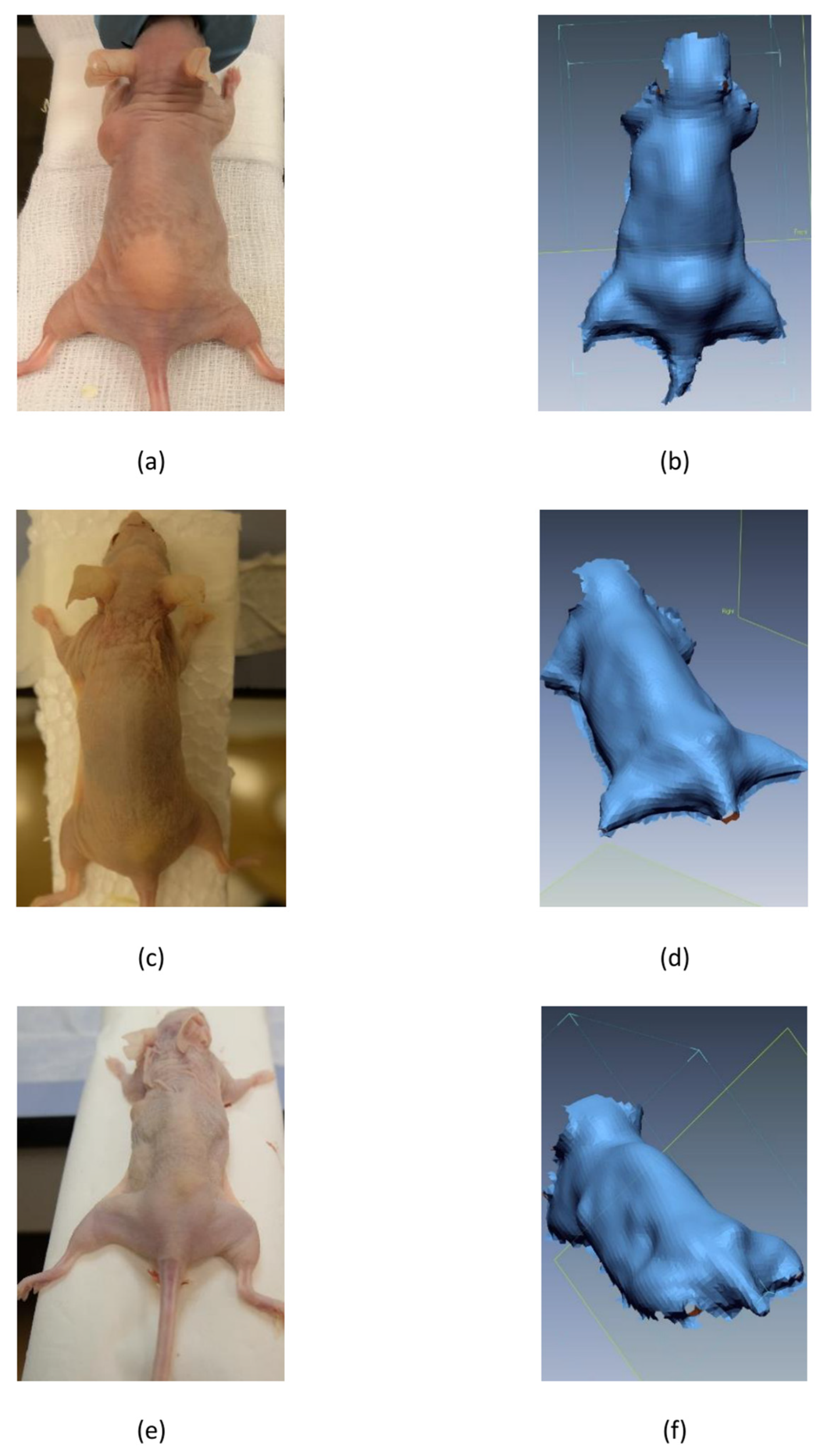 Applsci 13 07100 g001 Applsci 13 07100 g001