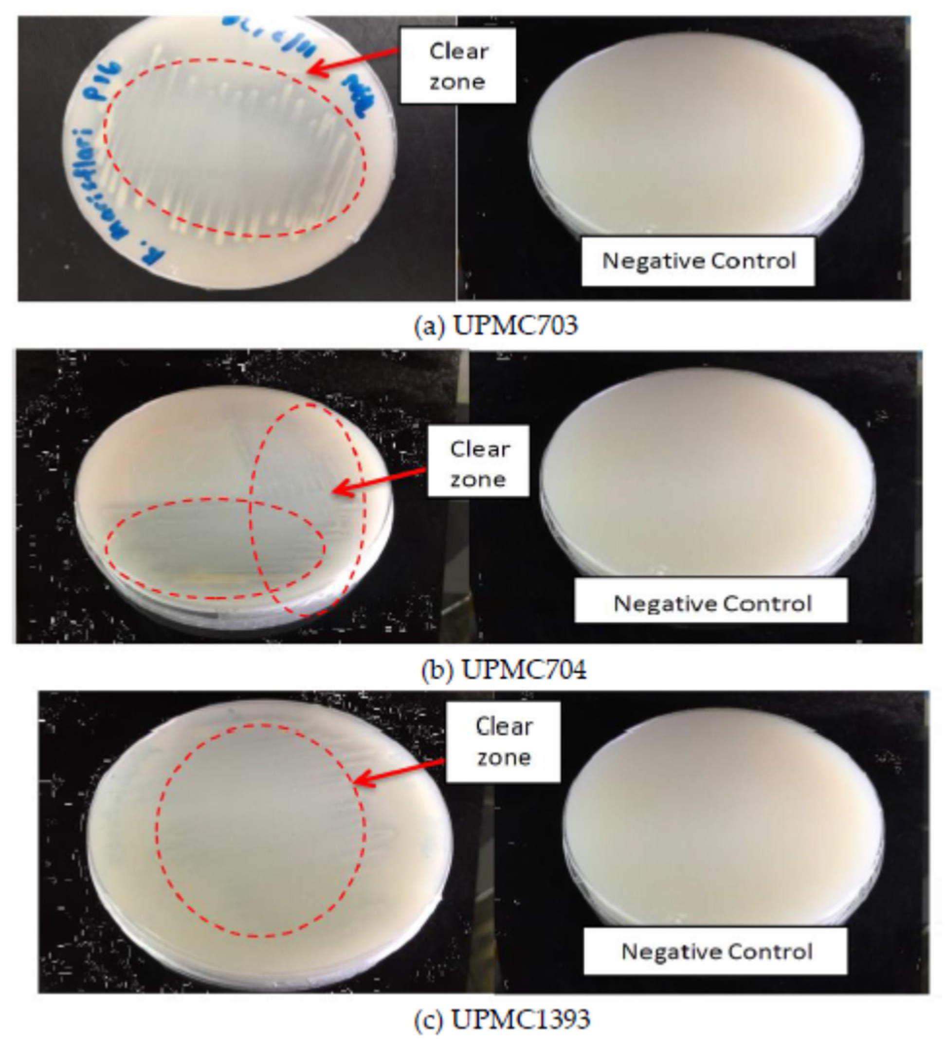 Applsci 13 07105 g003