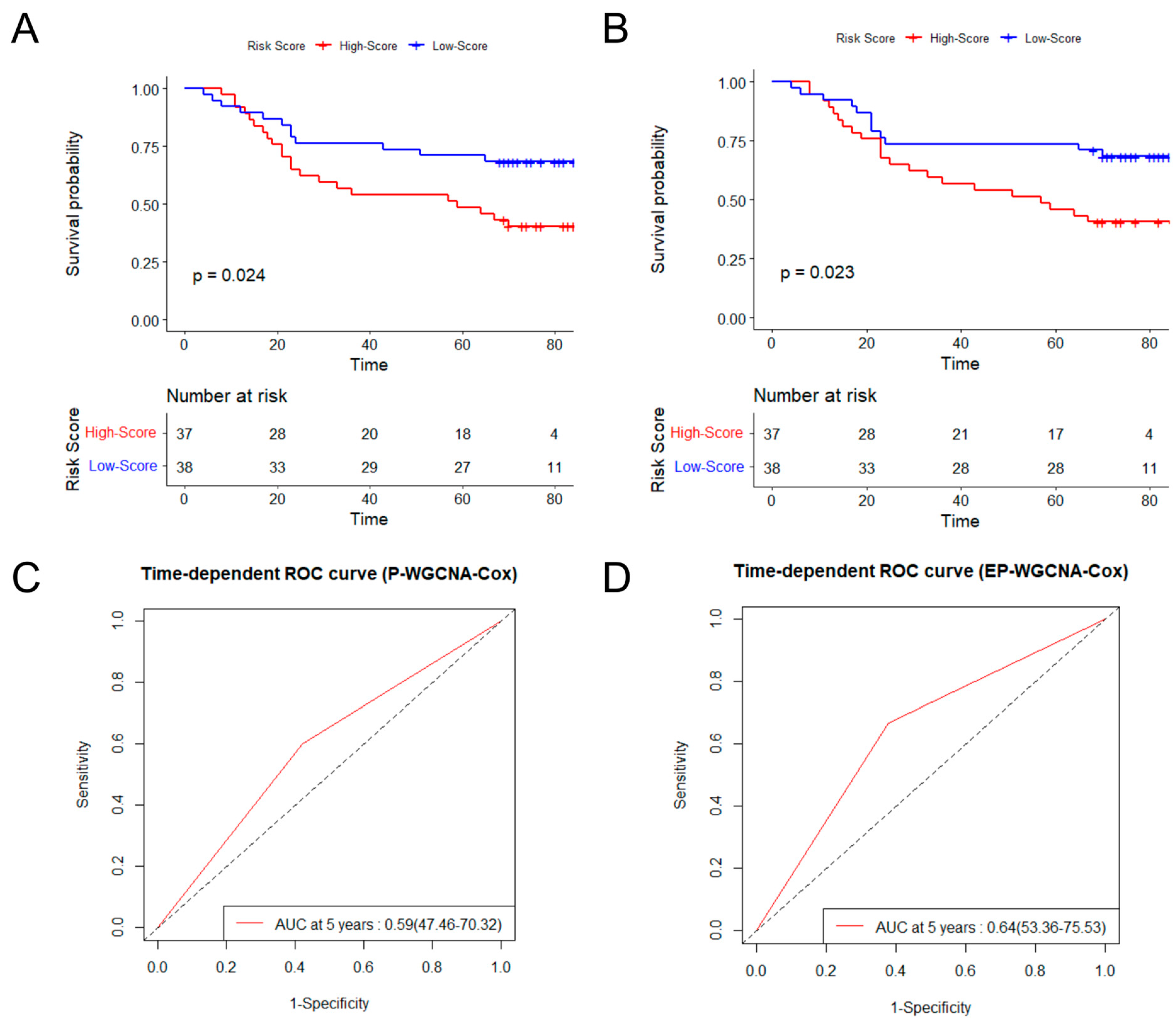 Applsci 13 07108 g004