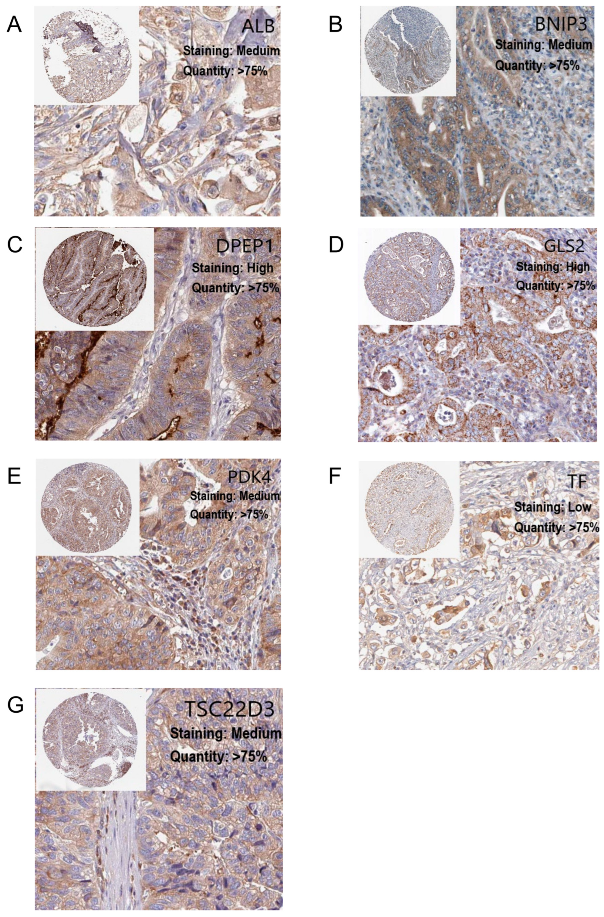 Applsci 13 07108 g005