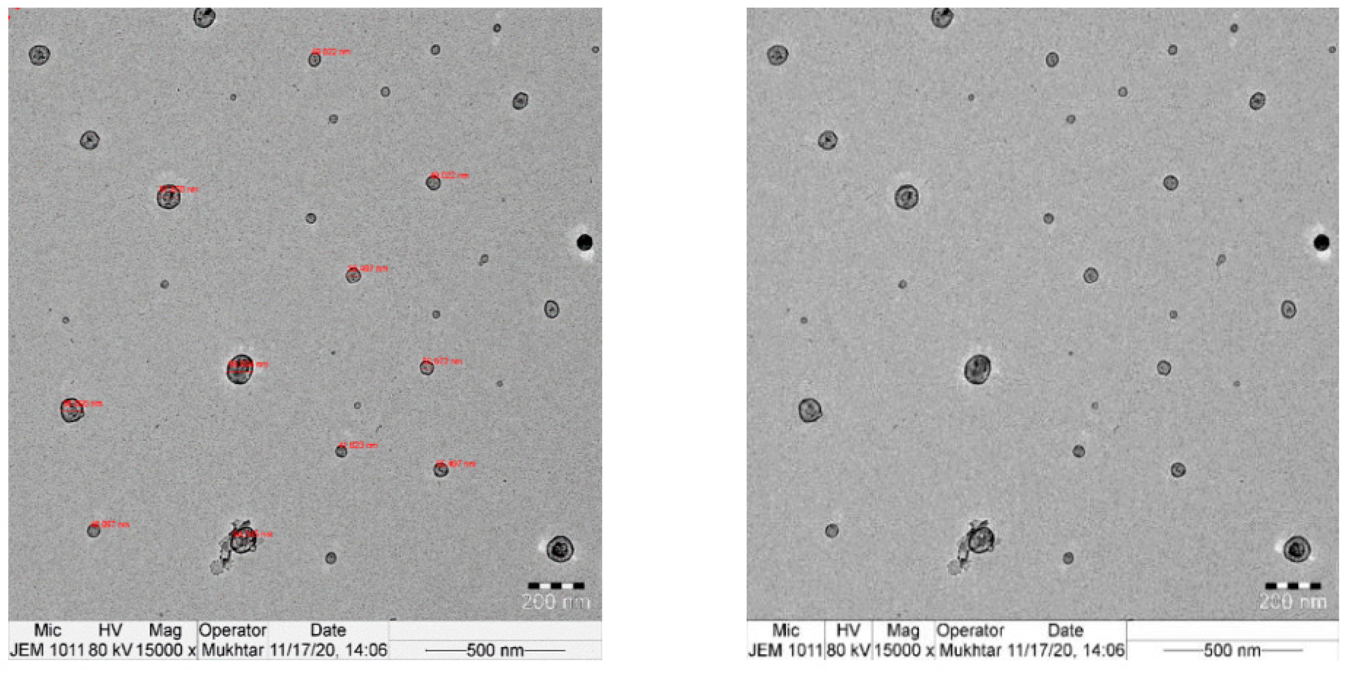 Applsci 13 07781 g003 Applsci 13 07781 g003