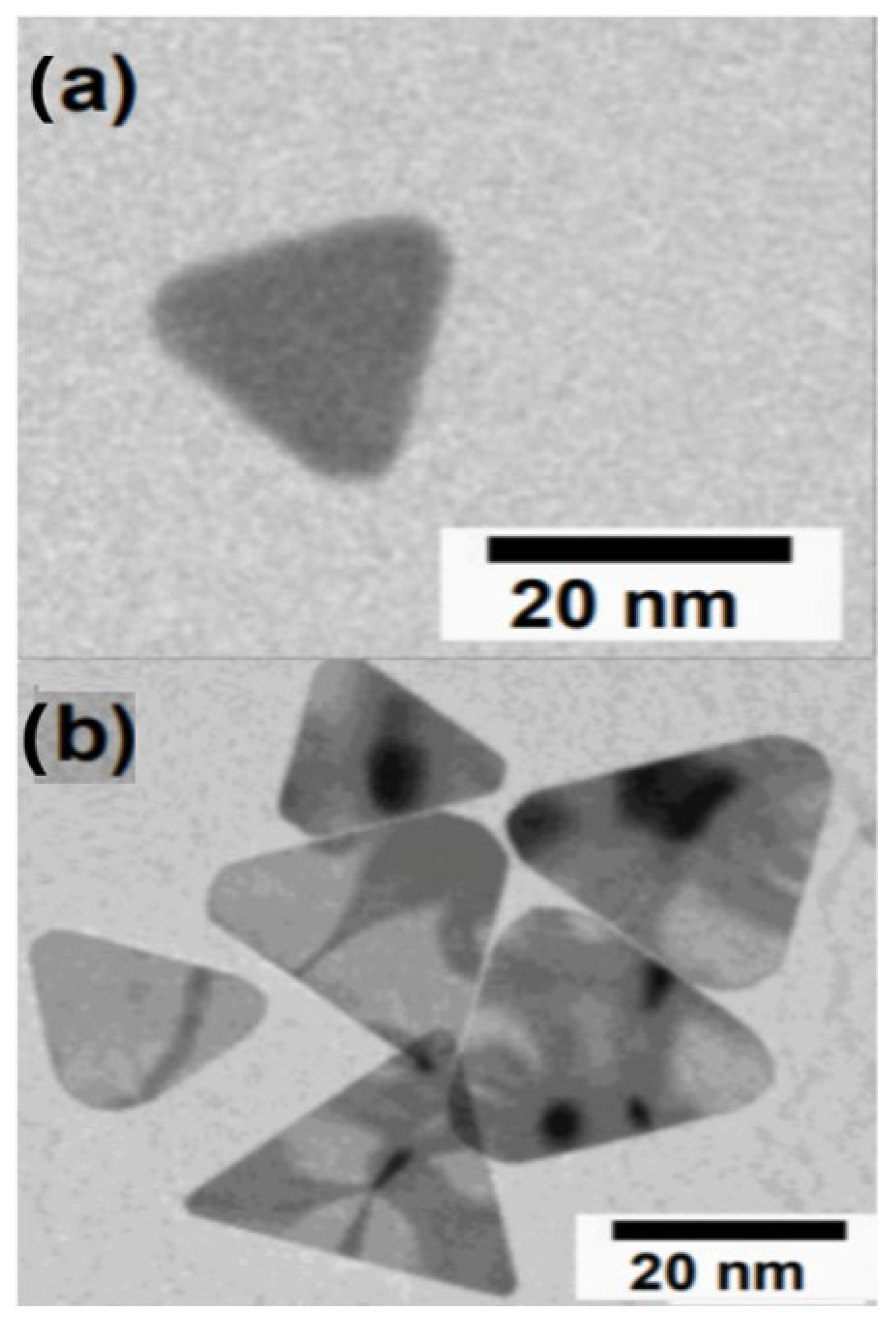 Applsci 13 08100 g003 Applsci 13 08100 g003